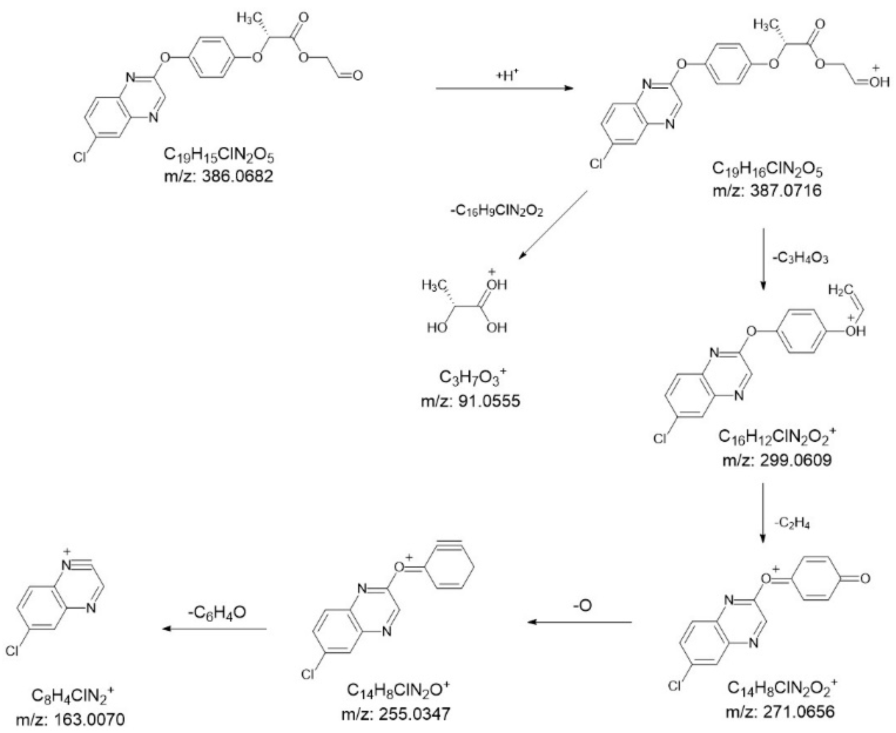 Agronomy 14 02959 g007