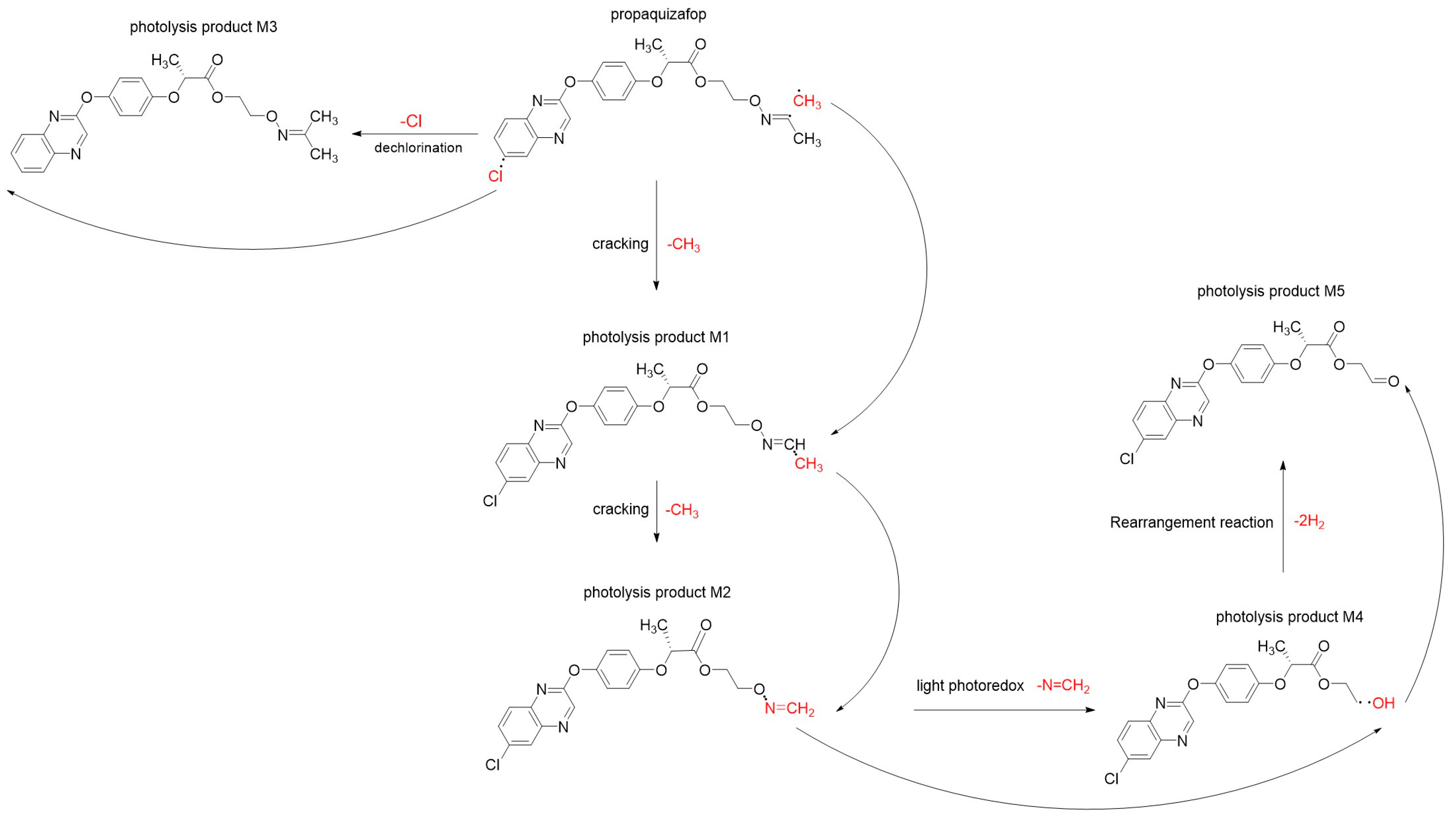 Agronomy 14 02959 g008