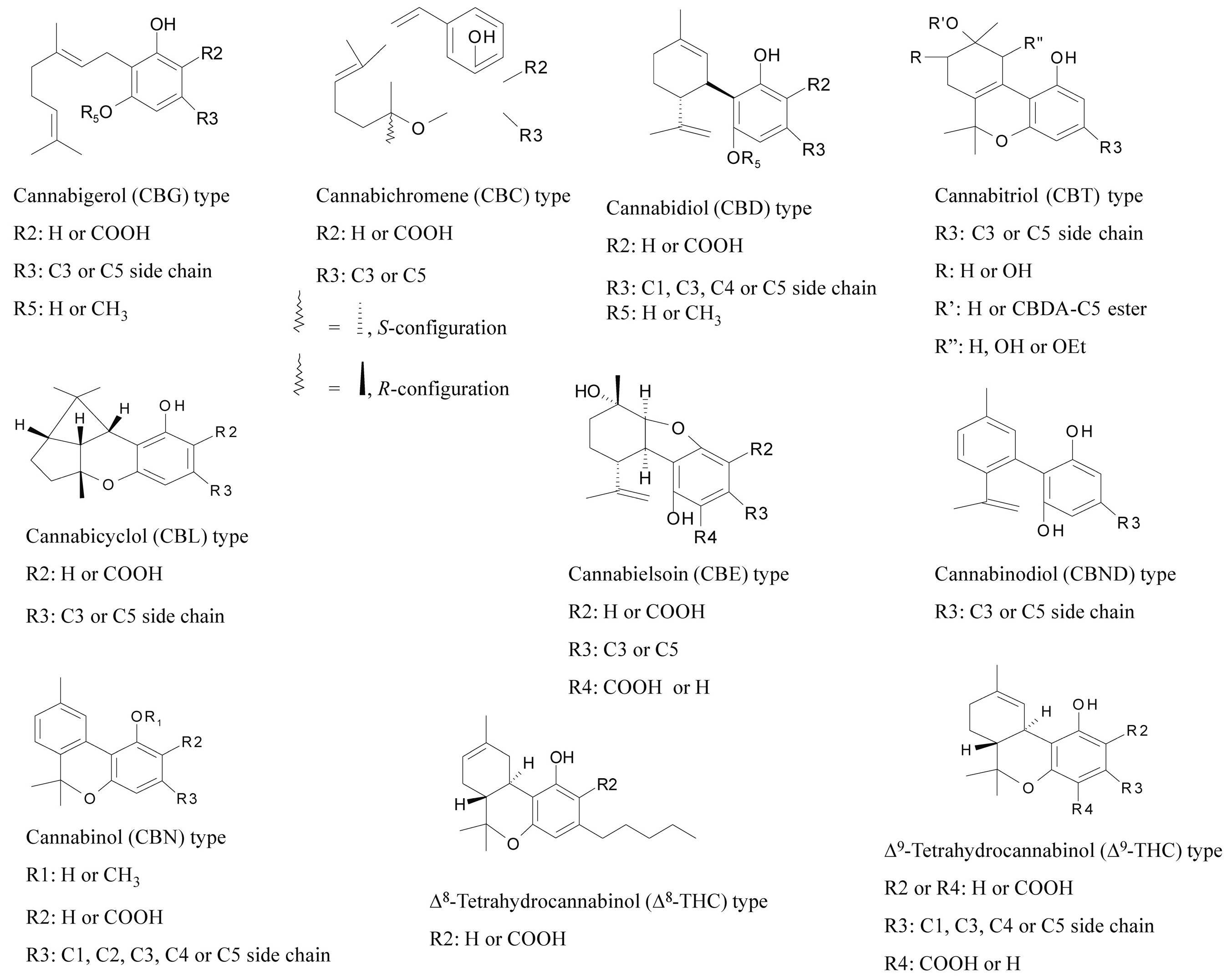 Agronomy 14 02960 g001