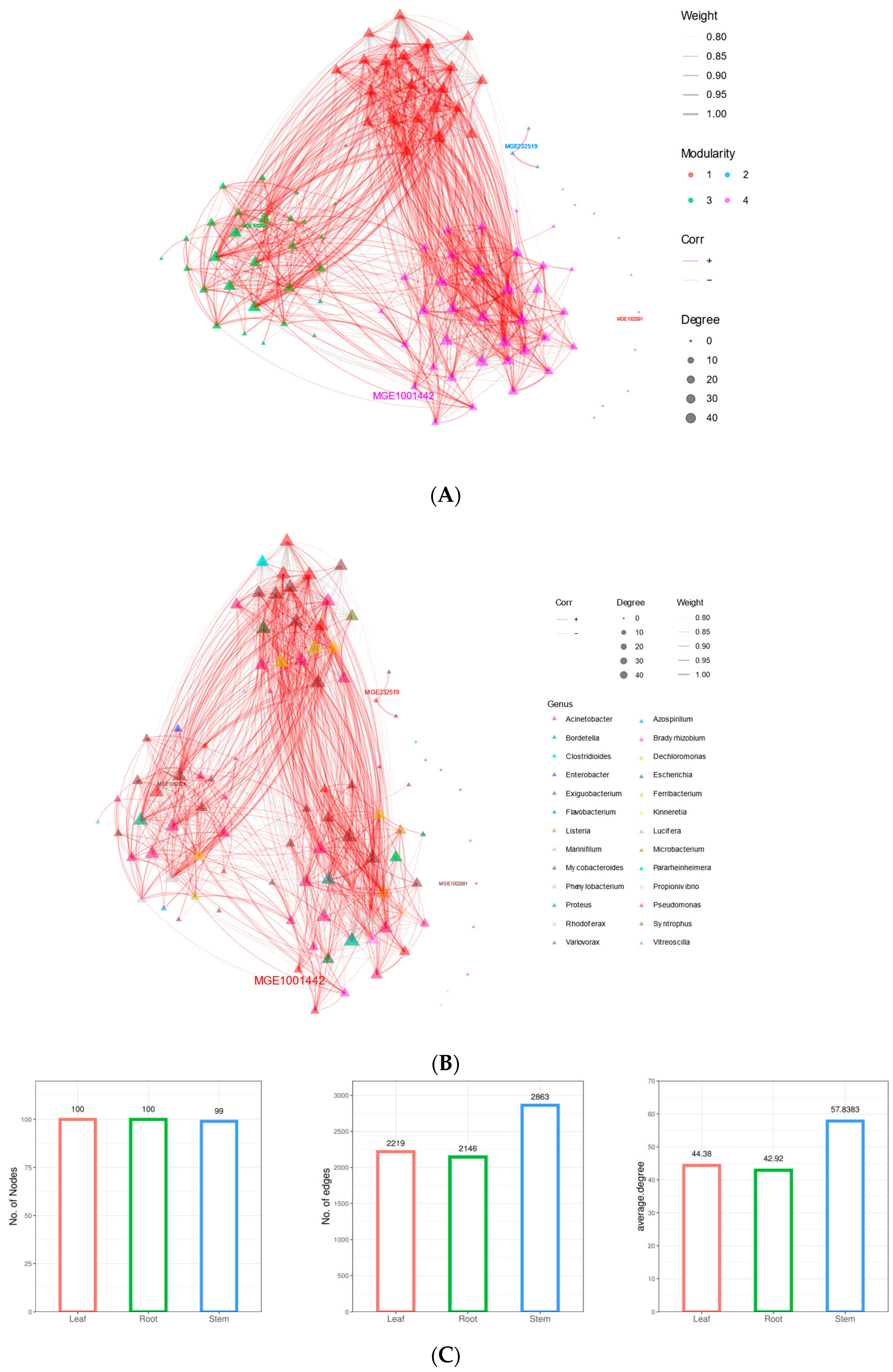 Agronomy 14 02961 g005 Agronomy 14 02961 g005