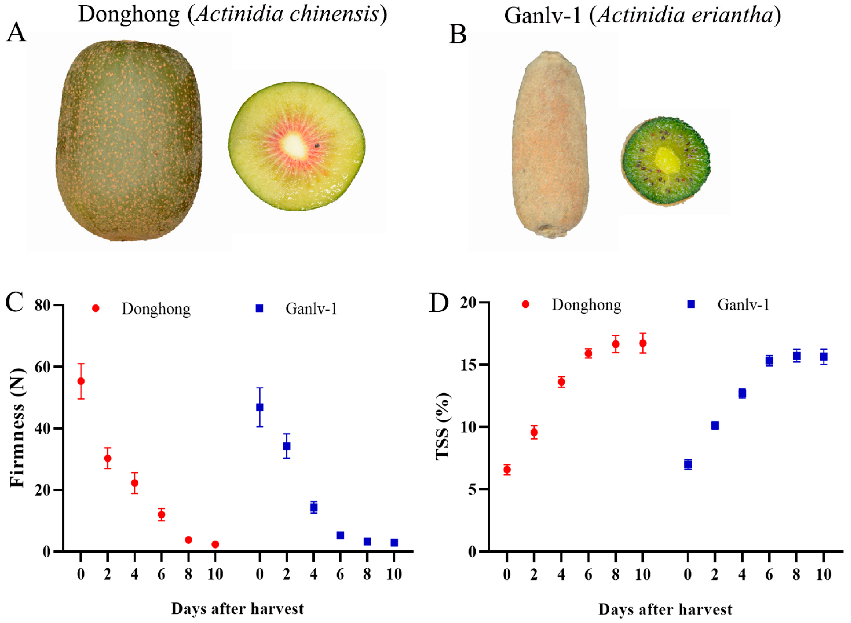 Agronomy 14 02965 g001
