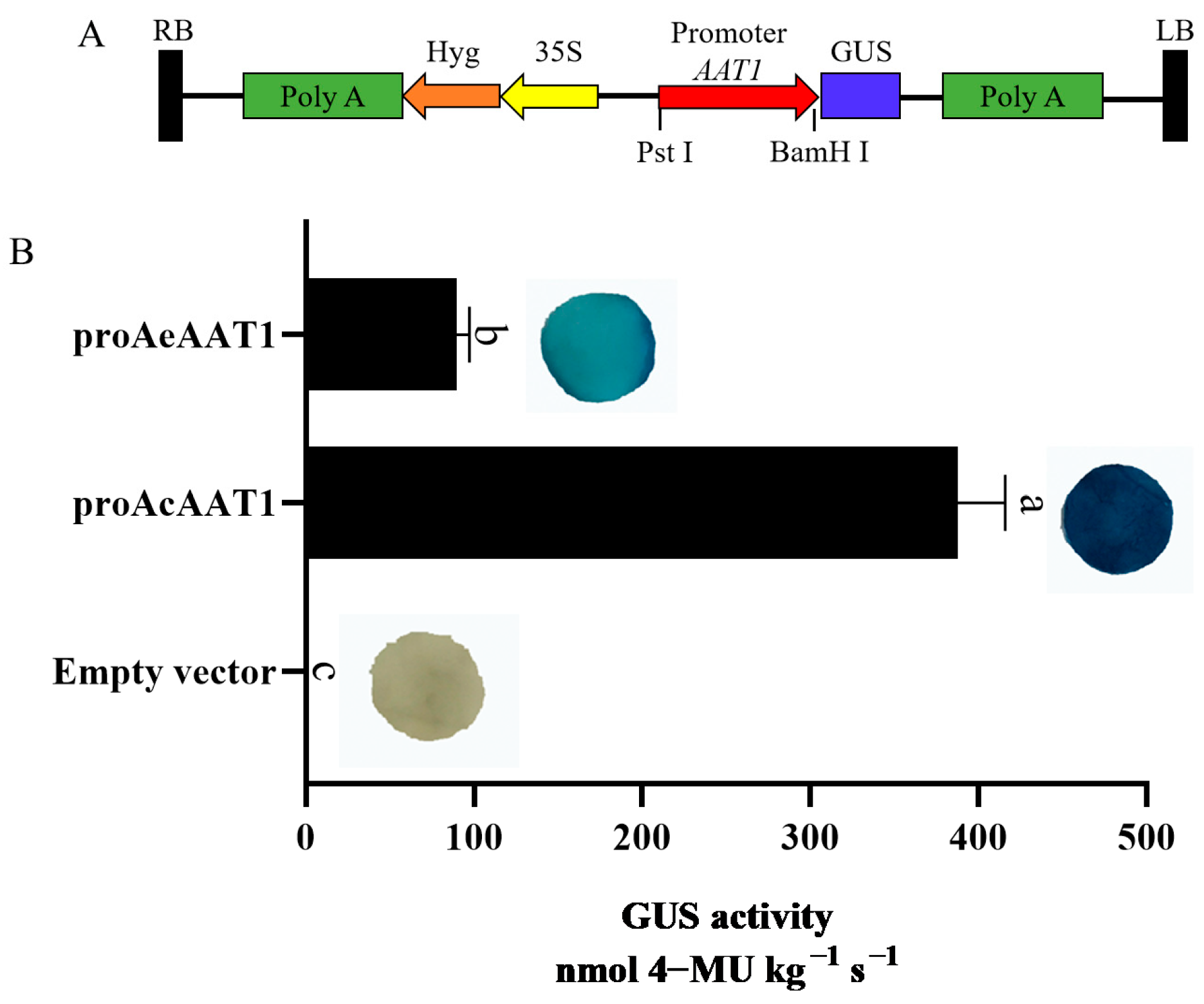 Agronomy 14 02965 g005