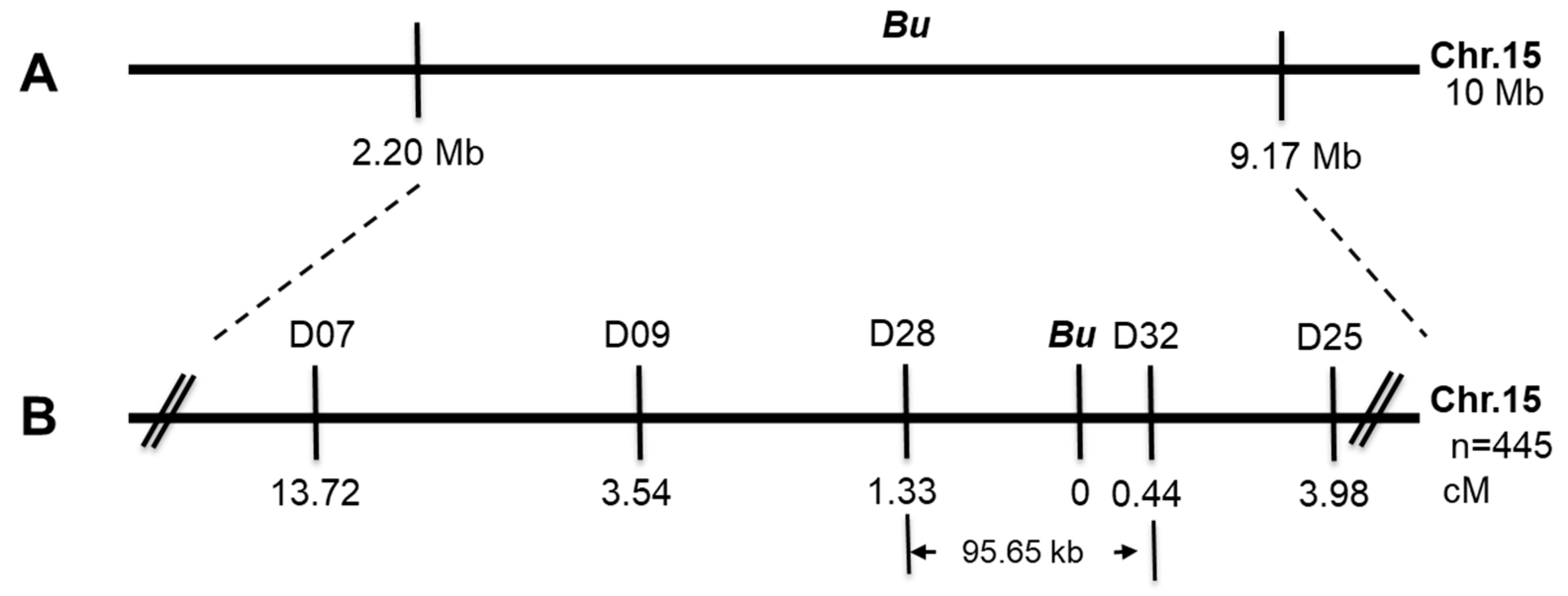 Agronomy 14 02967 g004