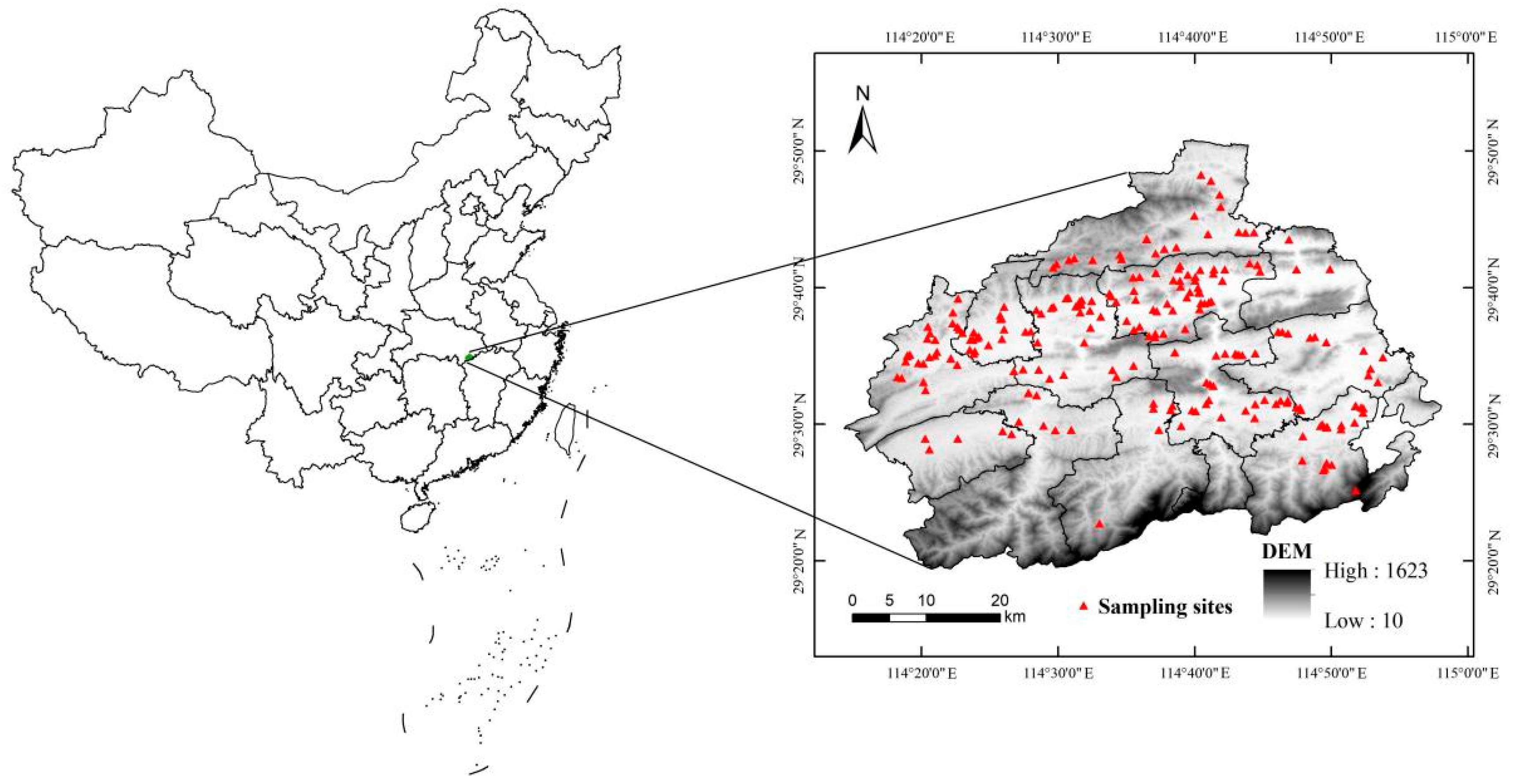 Agronomy 14 02970 g001