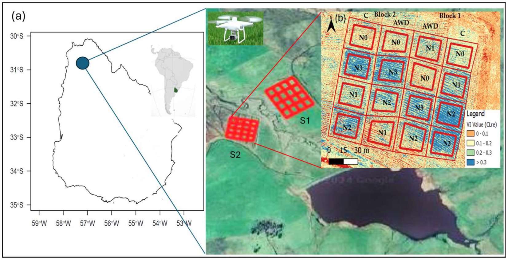 Agronomy 14 02976 g001