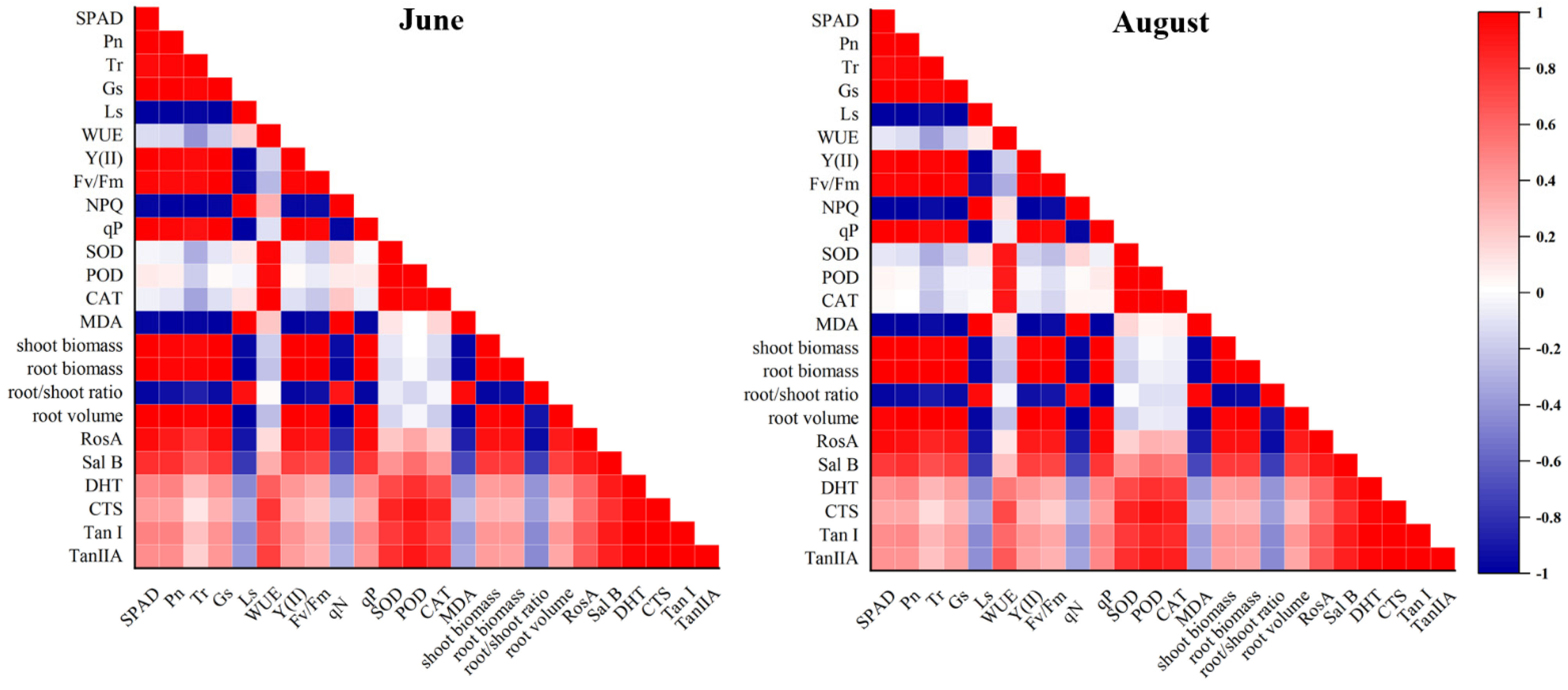 Agronomy 14 02977 g007