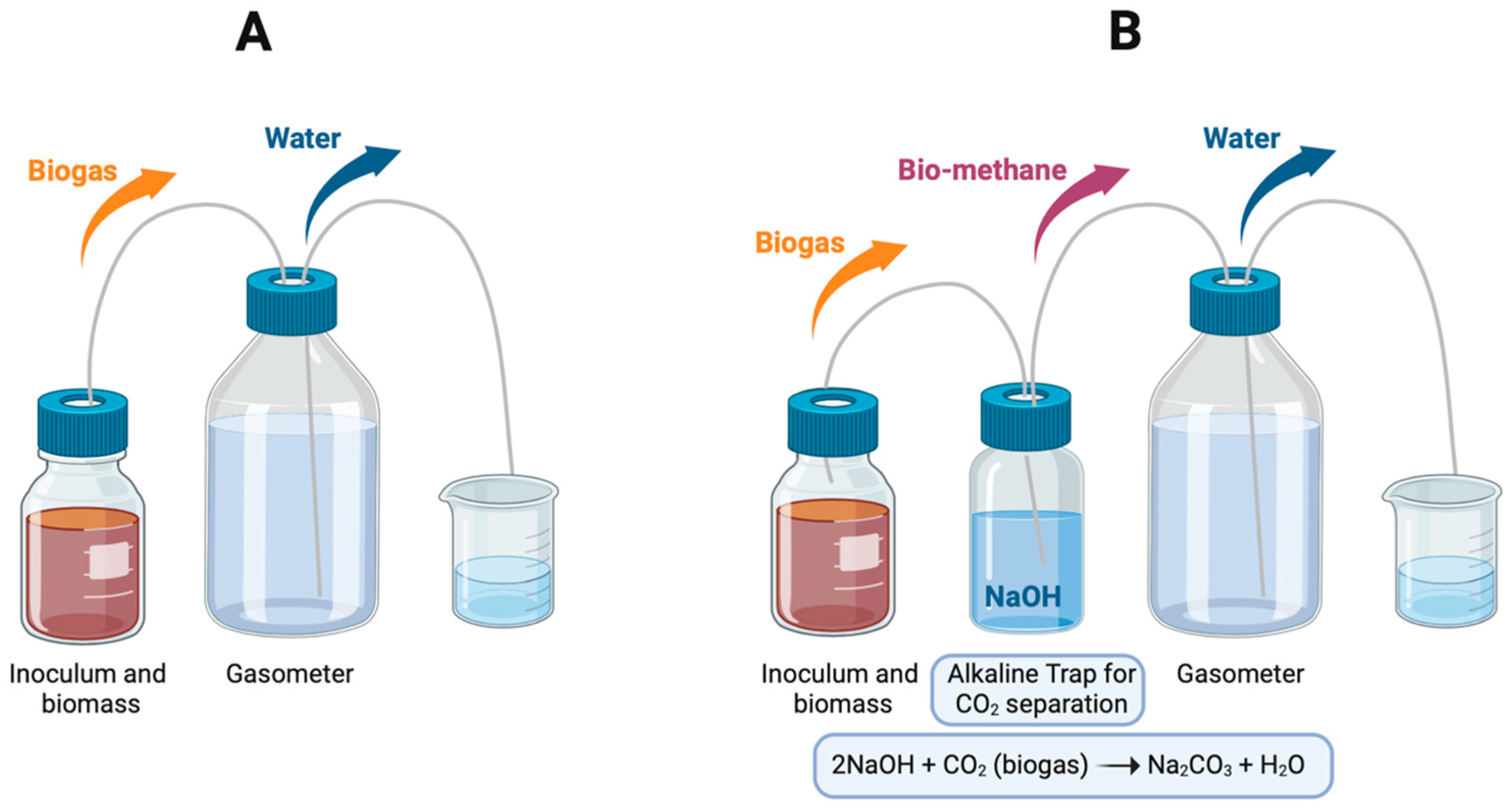 Agronomy 14 02980 g001