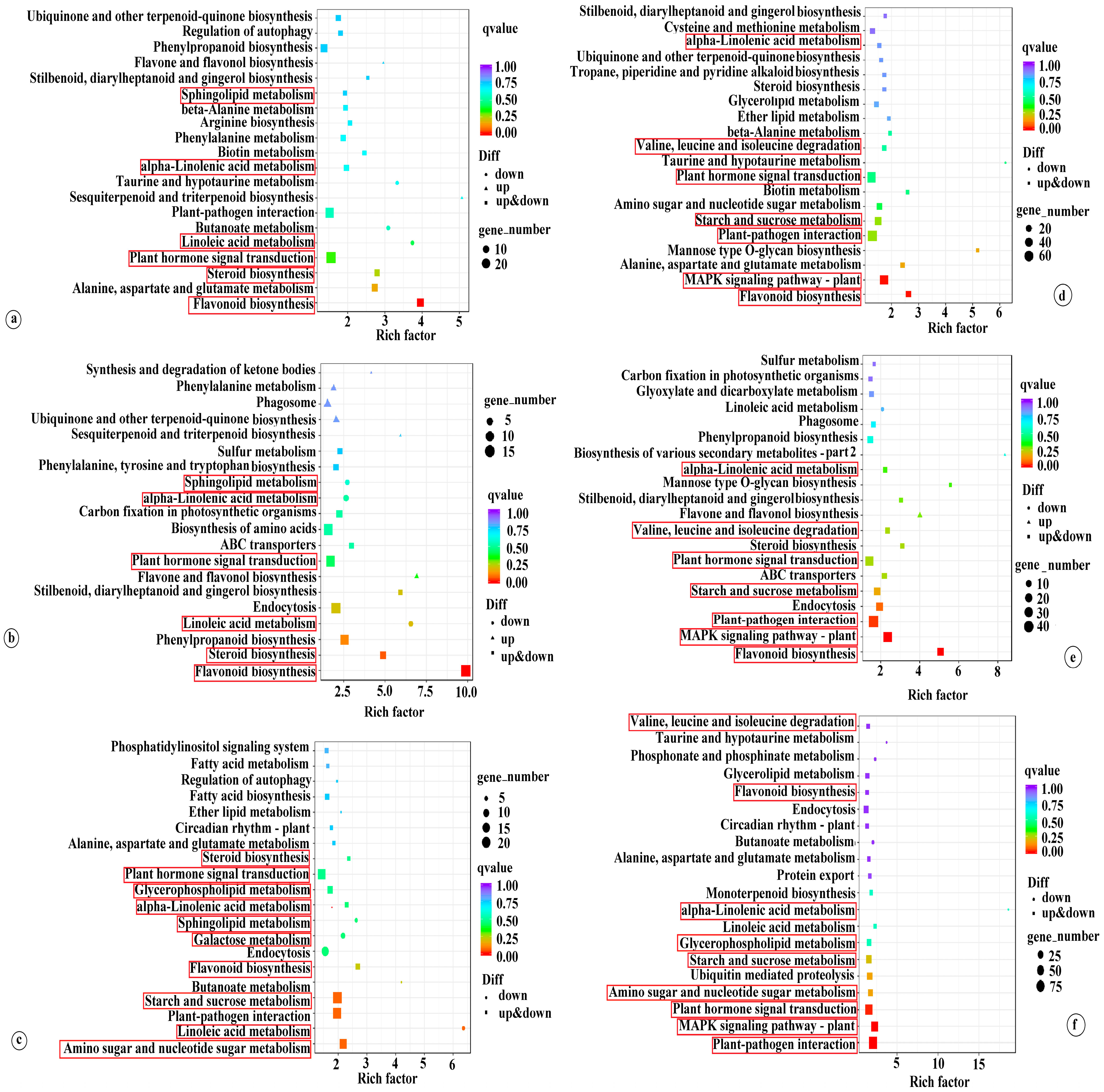 Agronomy 14 02983 g003