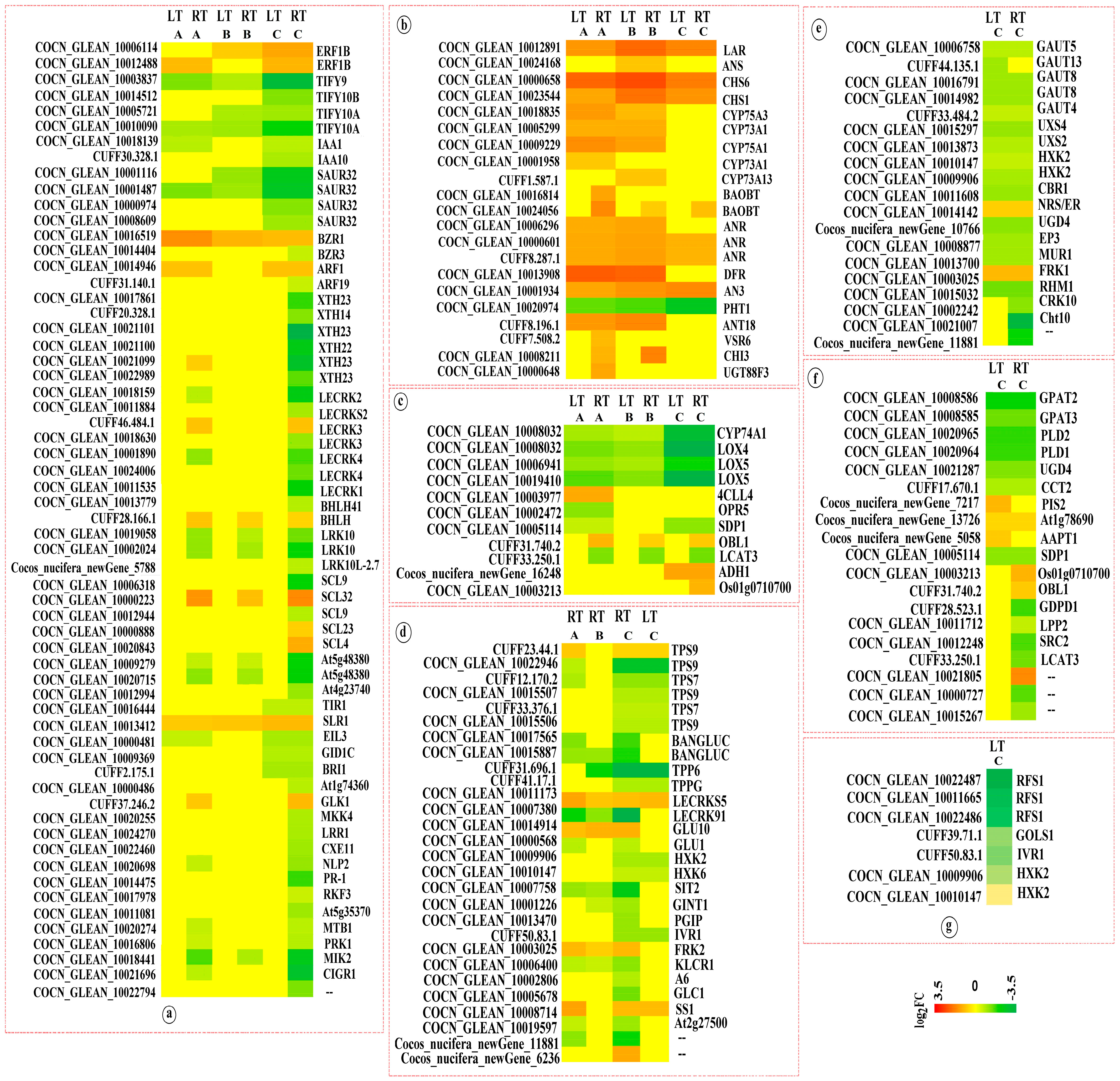 Agronomy 14 02983 g004