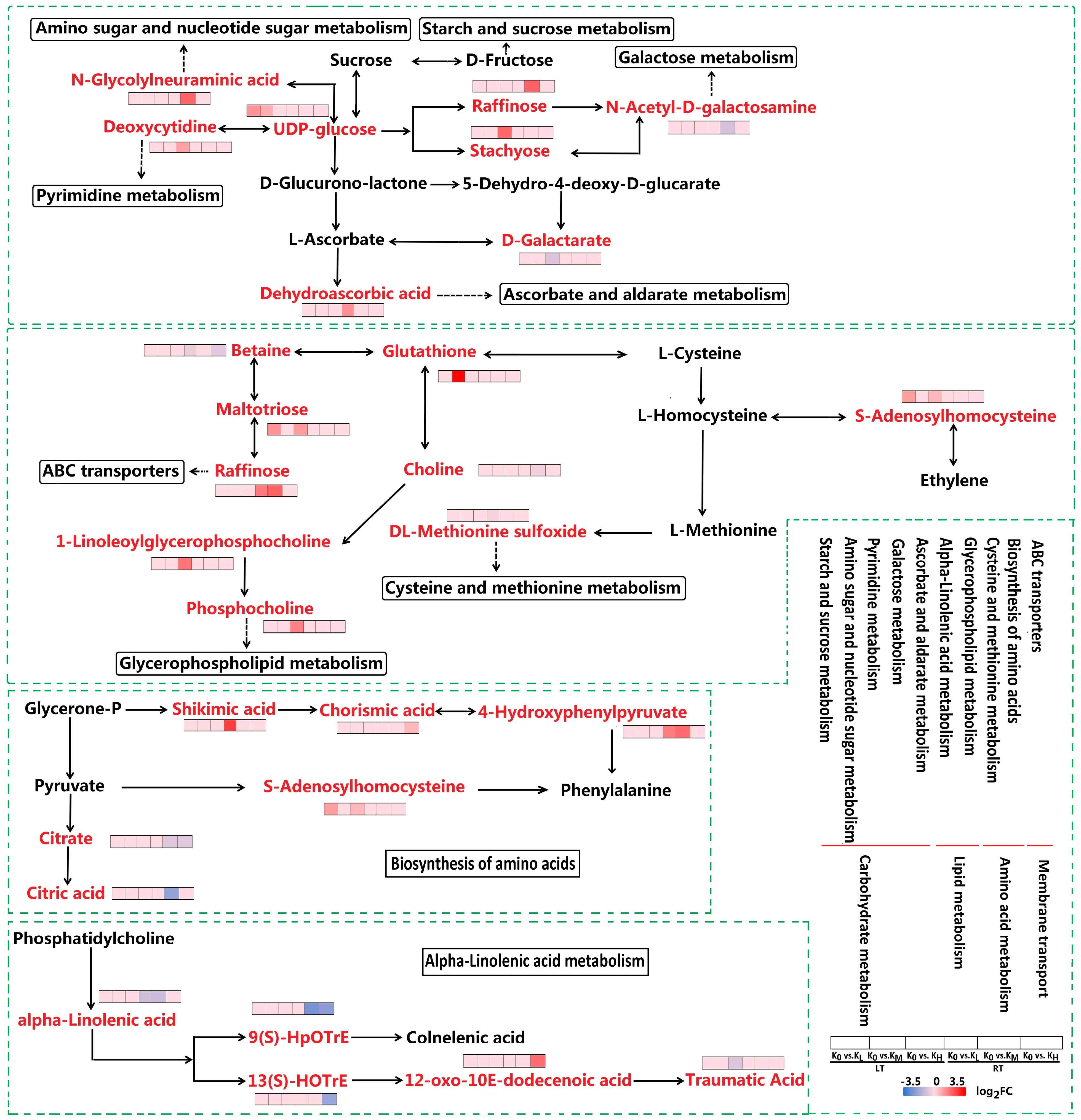 Agronomy 14 02983 g006