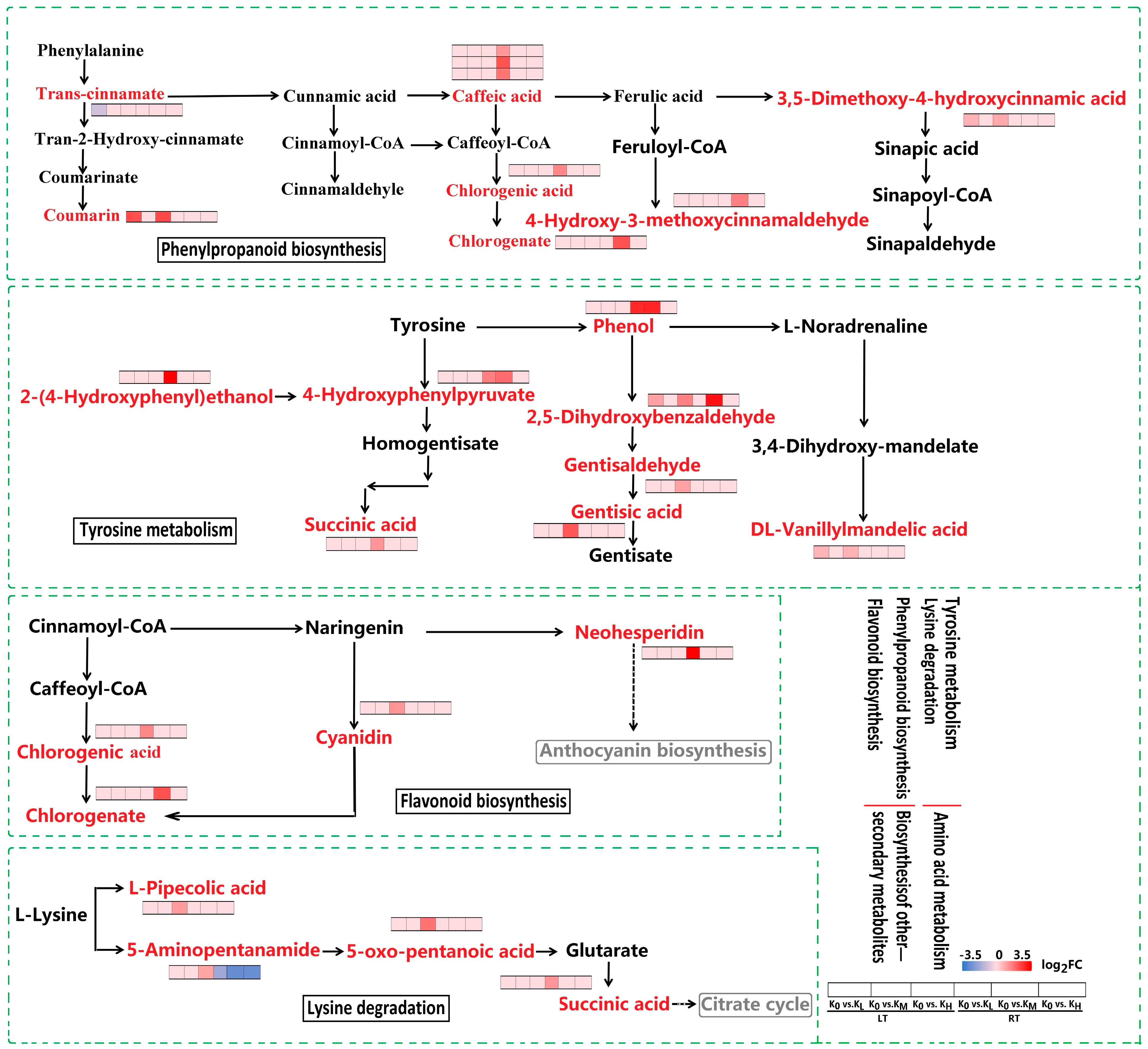 Agronomy 14 02983 g007