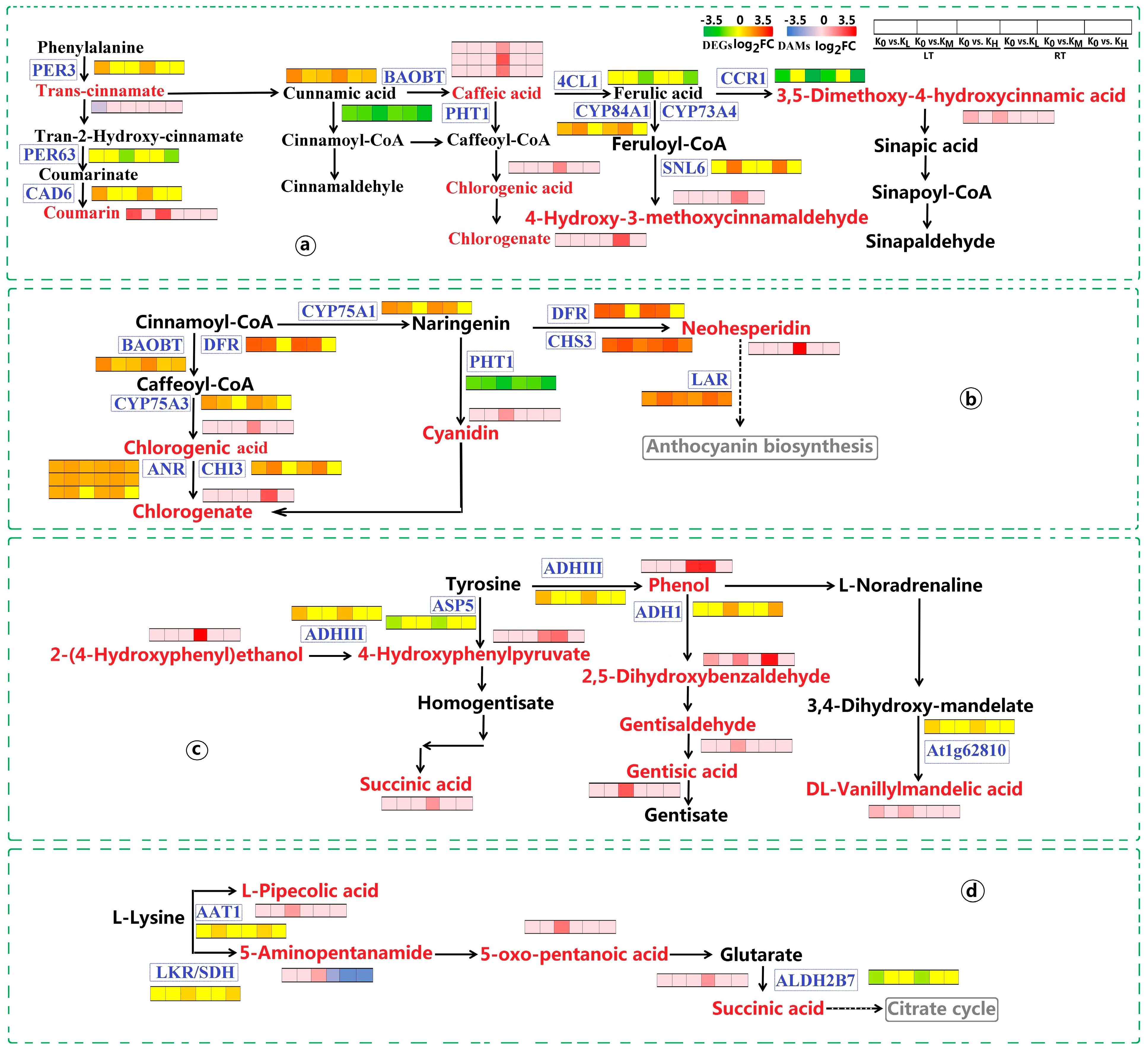 Agronomy 14 02983 g009