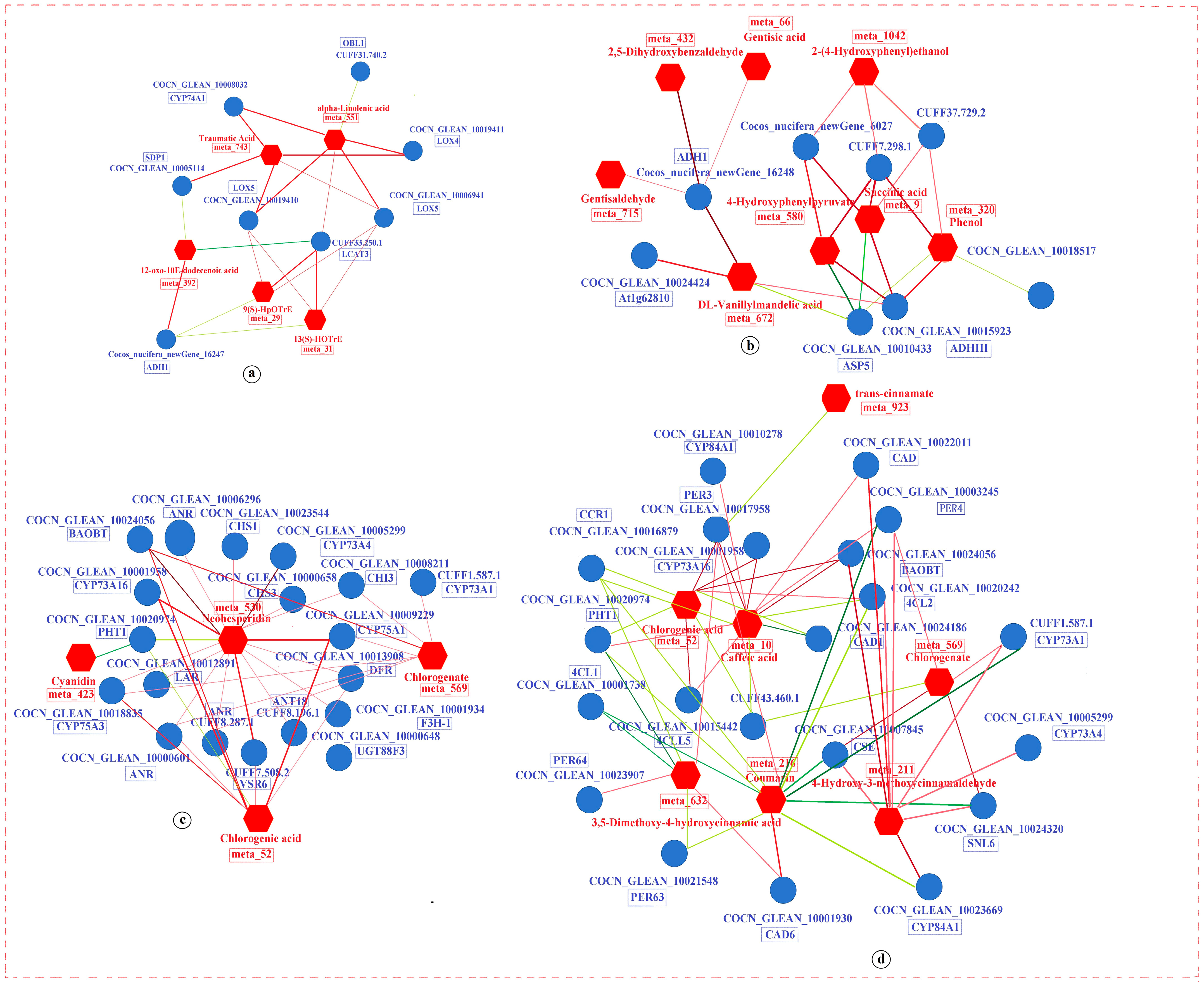 Agronomy 14 02983 g011