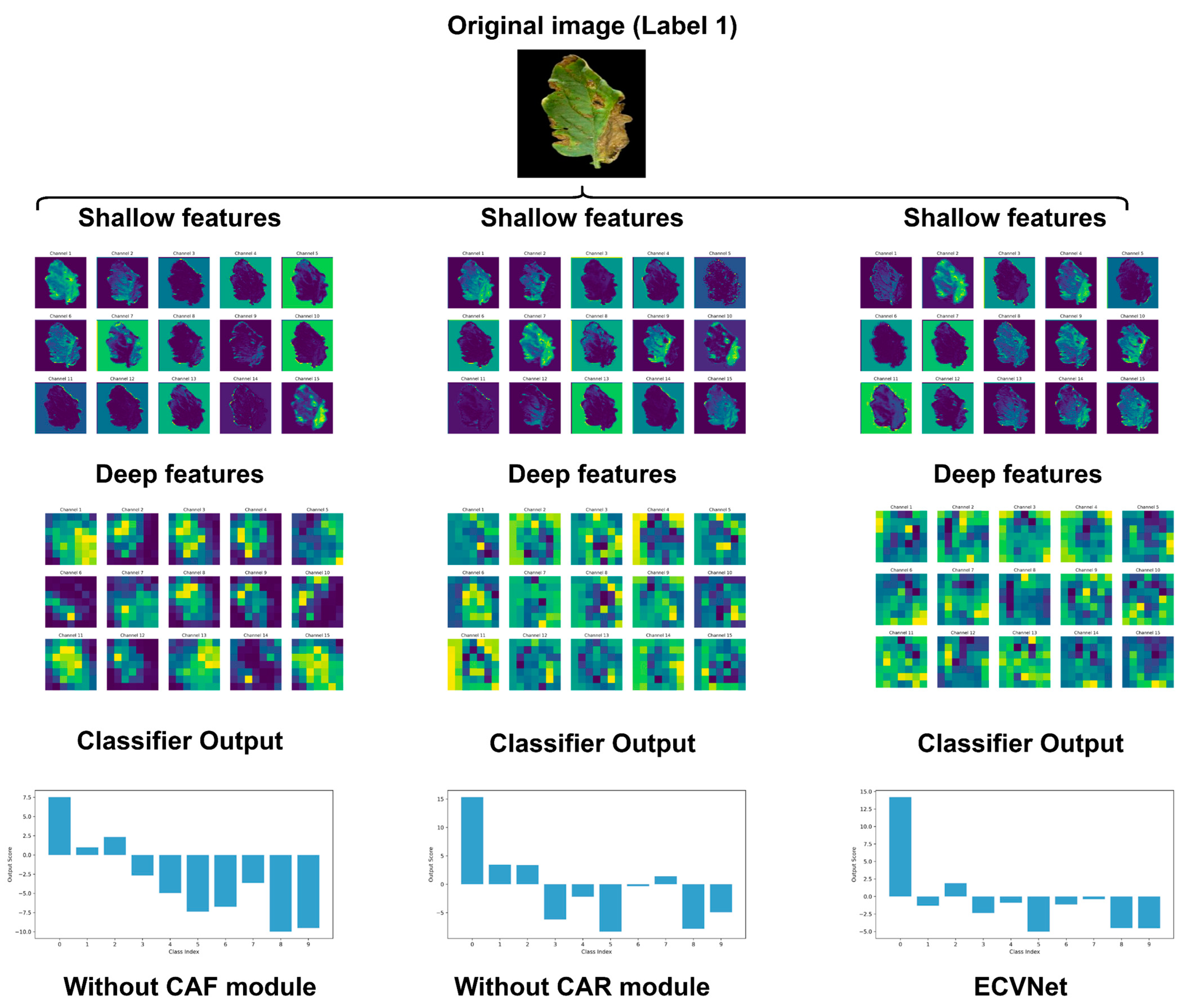 Agronomy 14 02985 g012