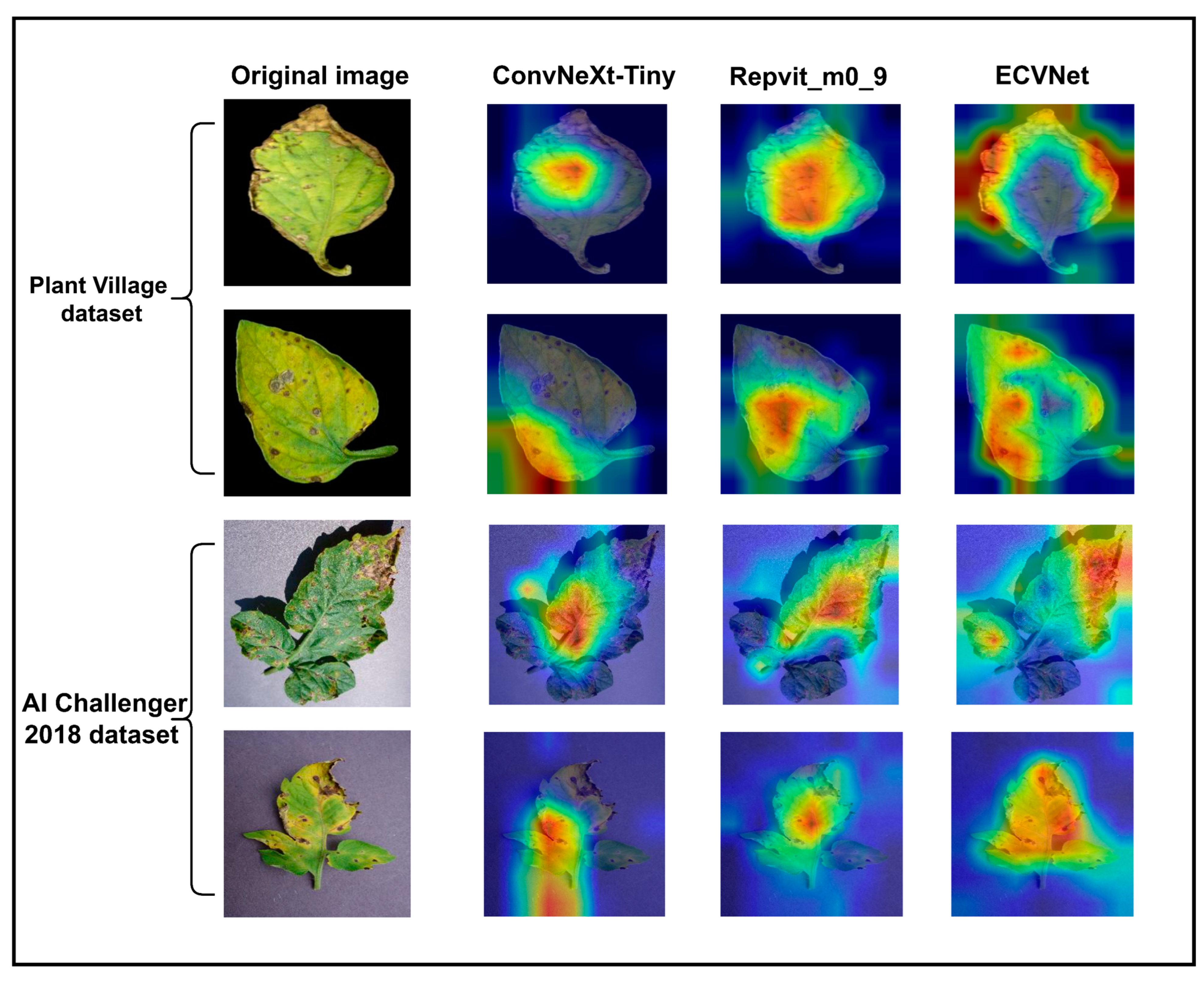 Agronomy 14 02985 g013