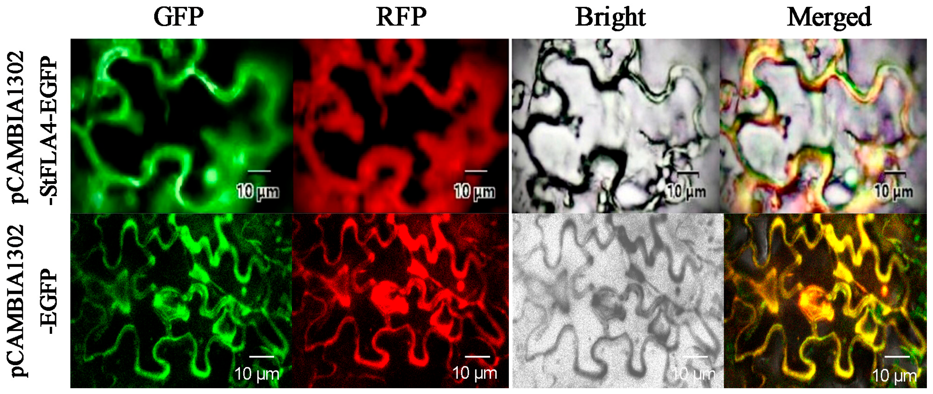 Agronomy 14 02988 g002