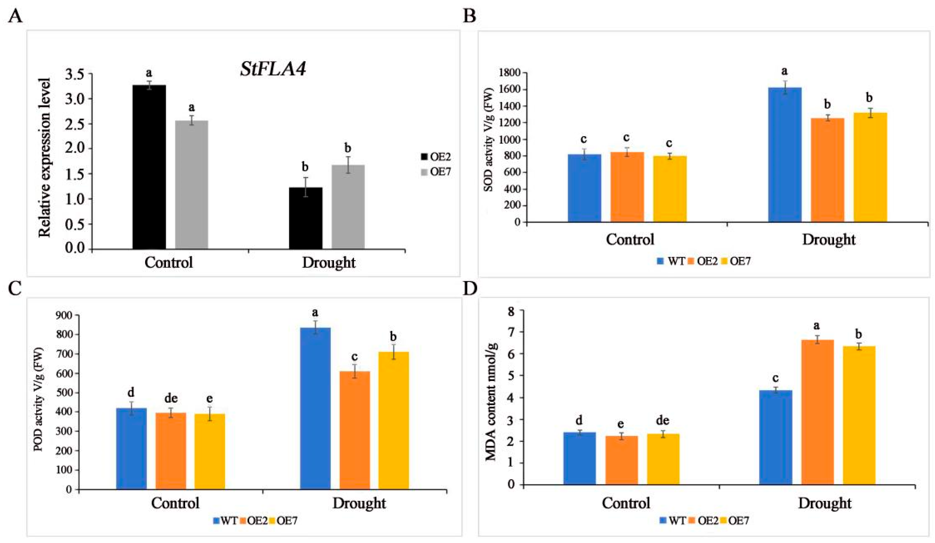 Agronomy 14 02988 g004