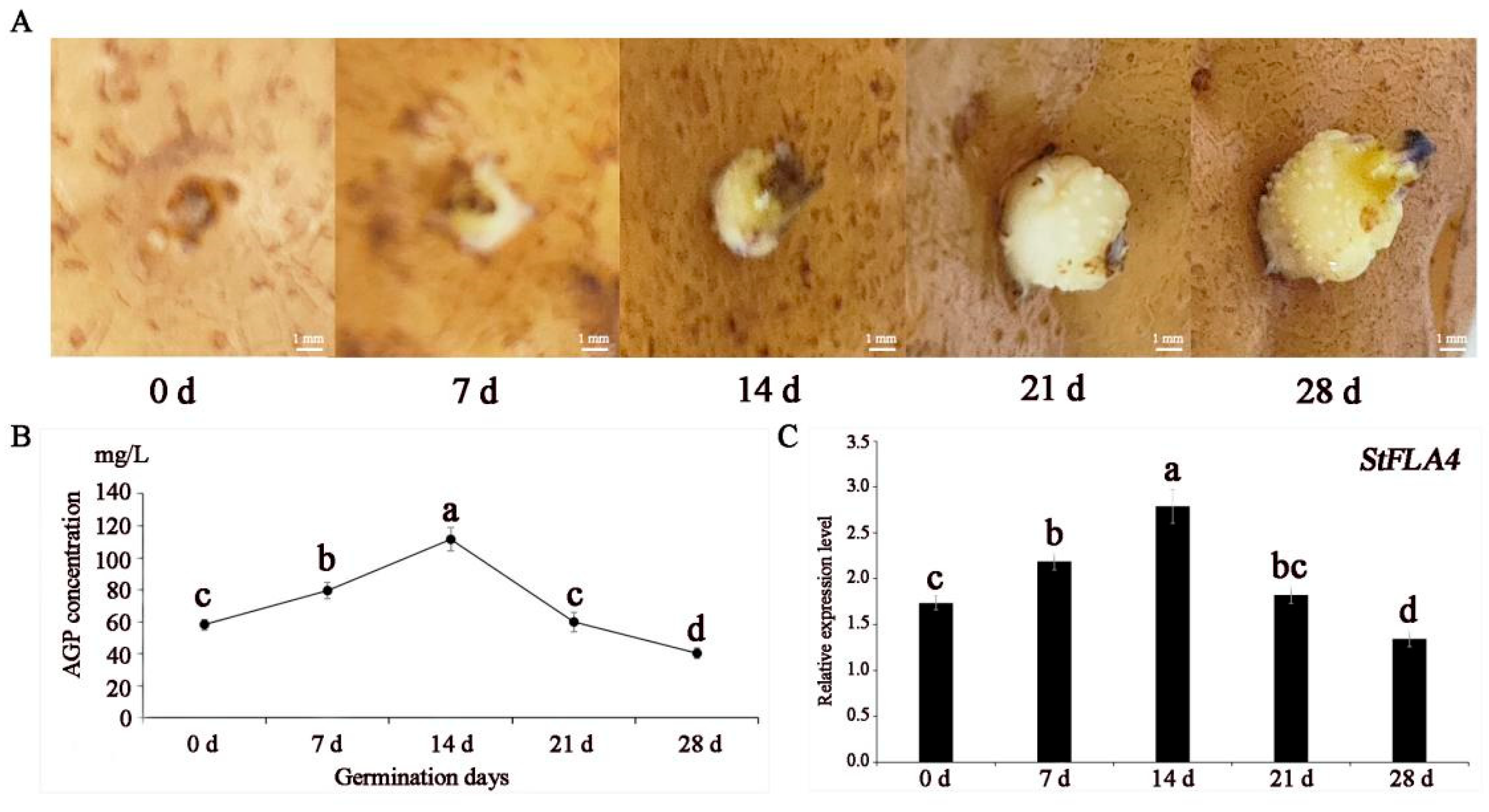Agronomy 14 02988 g006