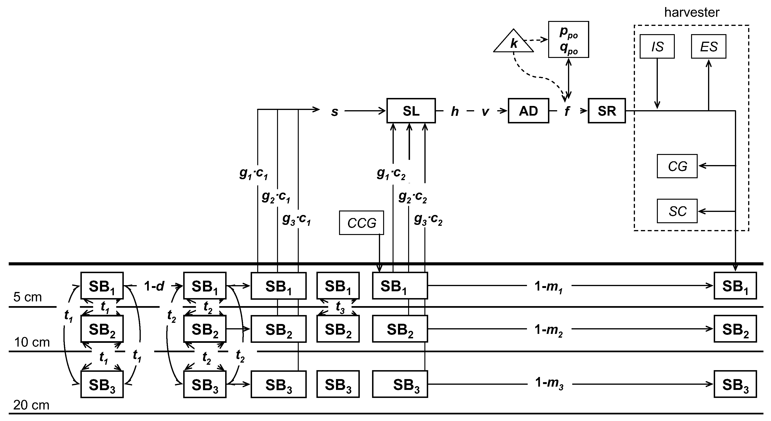 Agronomy 14 02990 g002
