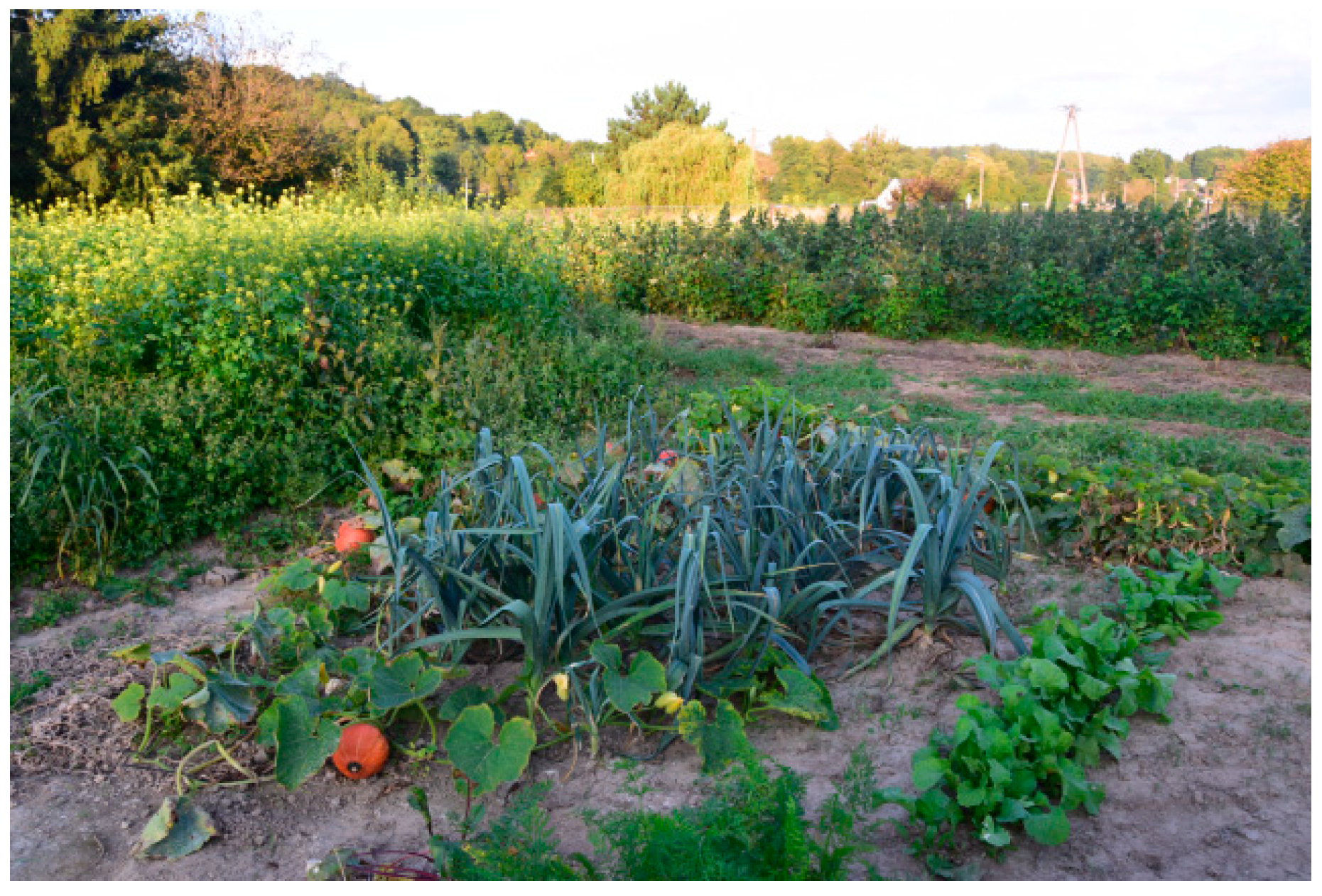 Agronomy 14 02992 g004