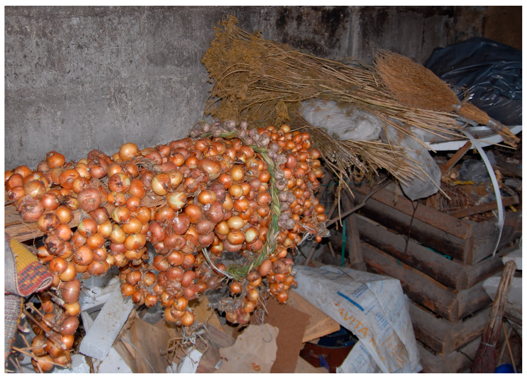 Agronomy 14 02992 g005