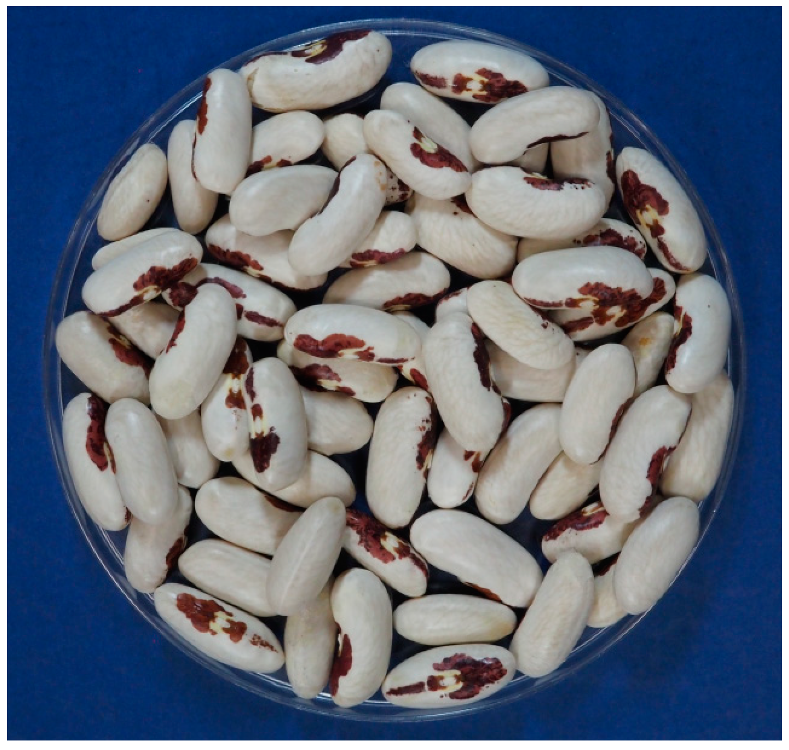 Agronomy 14 02992 g006