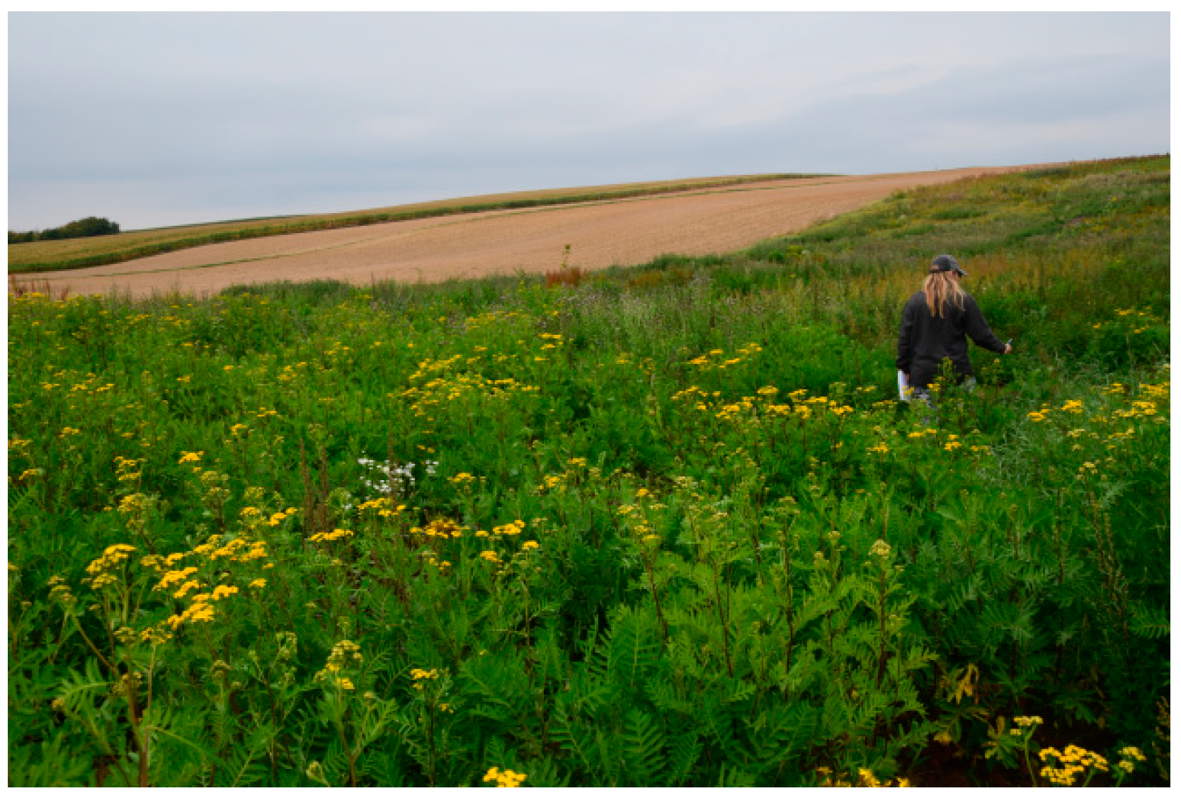 Agronomy 14 02992 g012