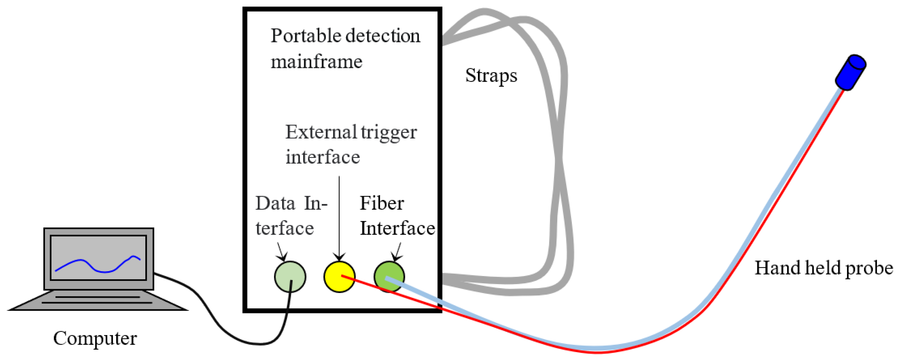 Agronomy 14 02994 g001