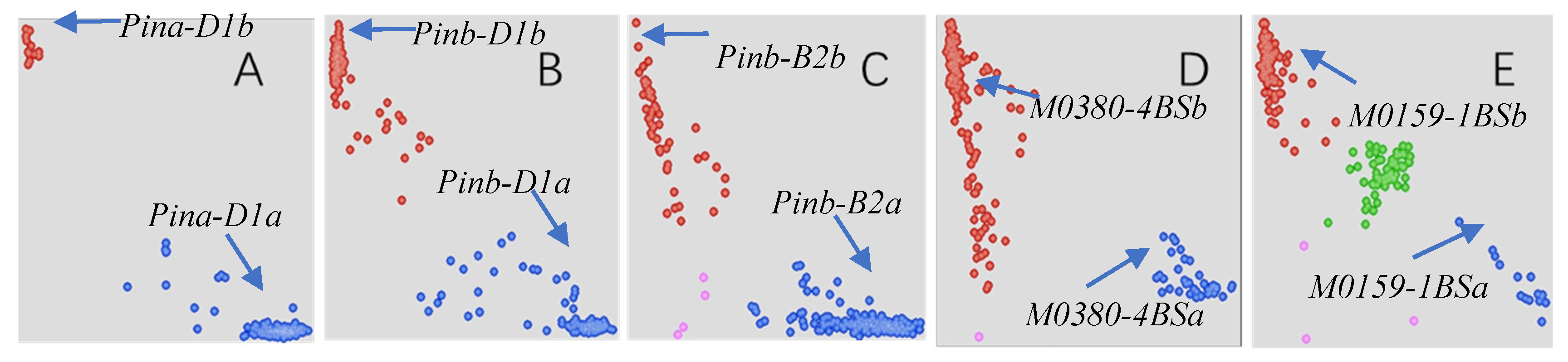 Agronomy 14 02998 g001