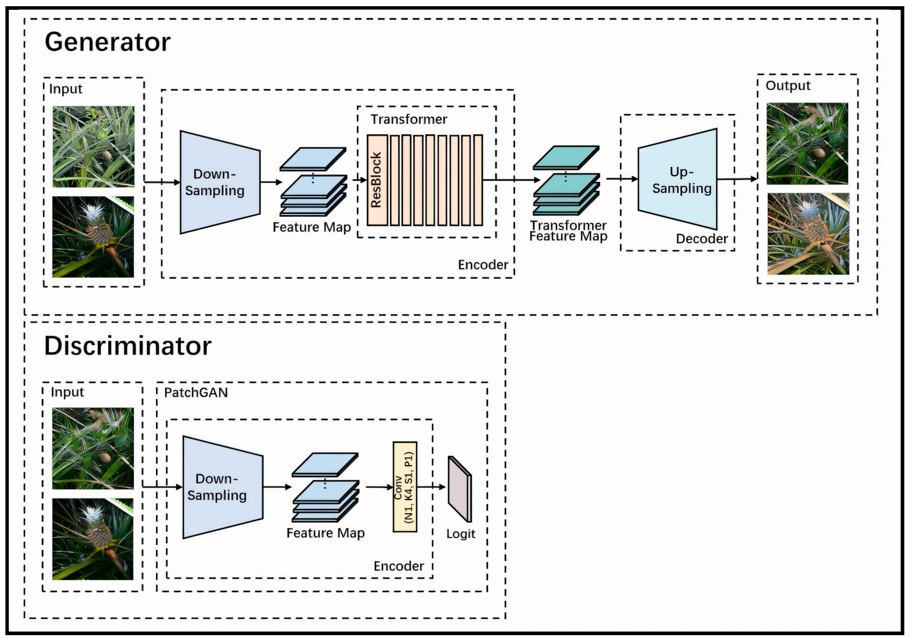 Agronomy 14 03002 g003