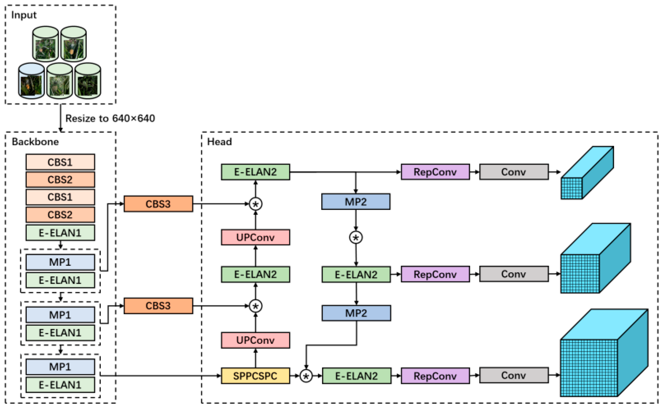 Agronomy 14 03002 g011