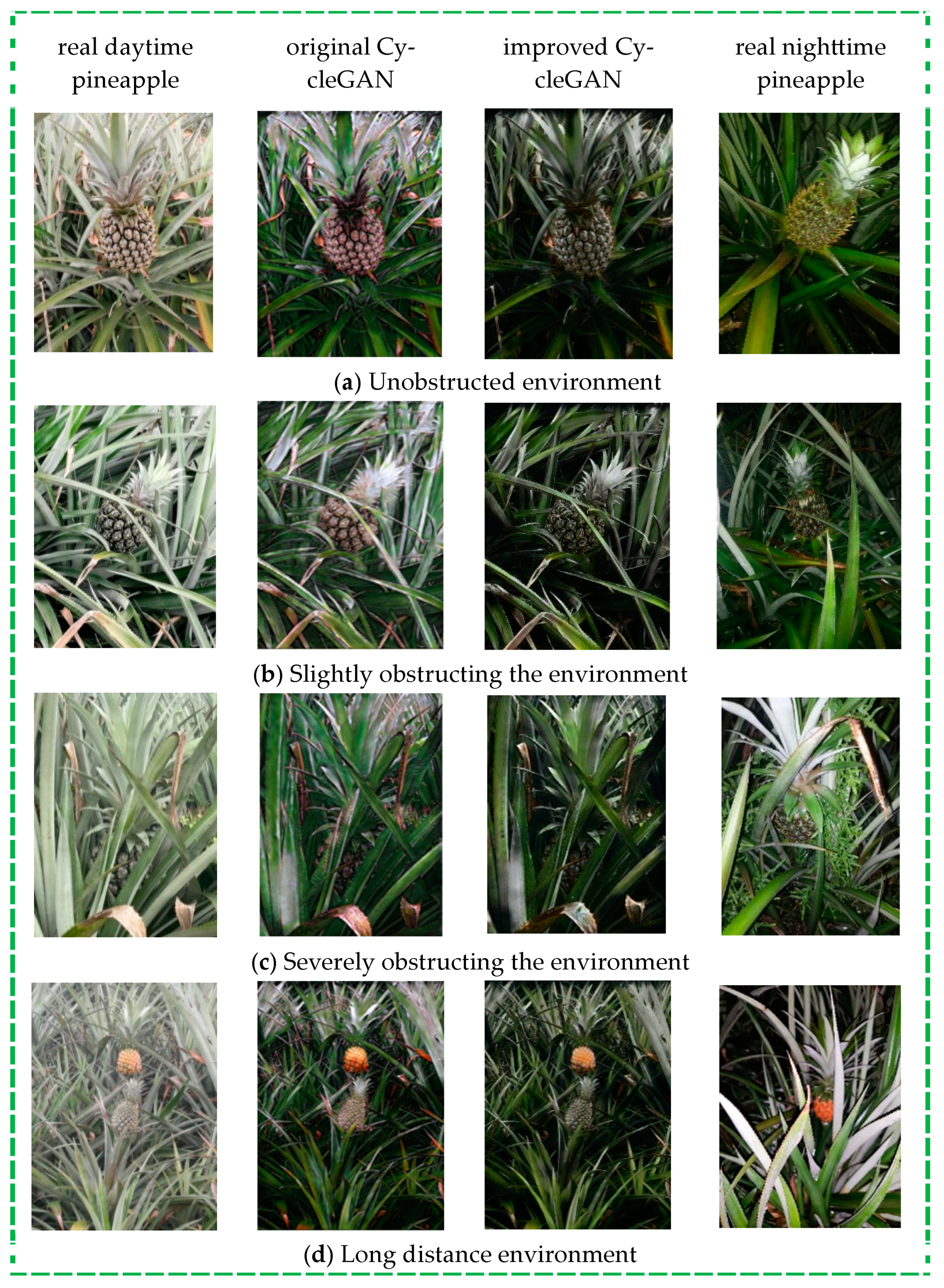 Agronomy 14 03002 g012