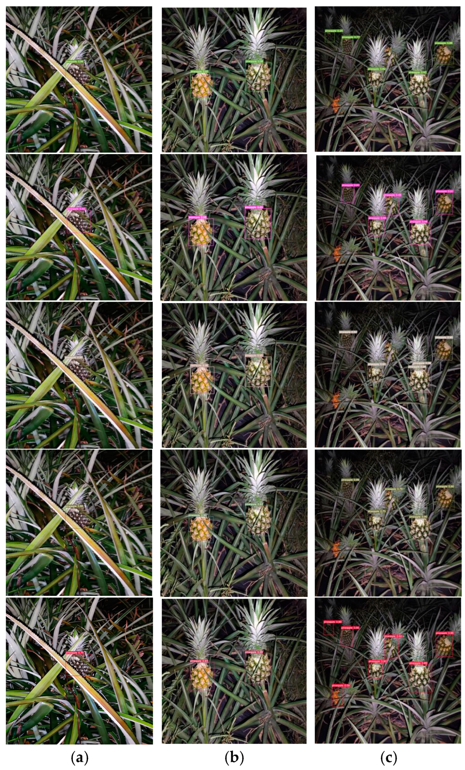 Agronomy 14 03002 g018