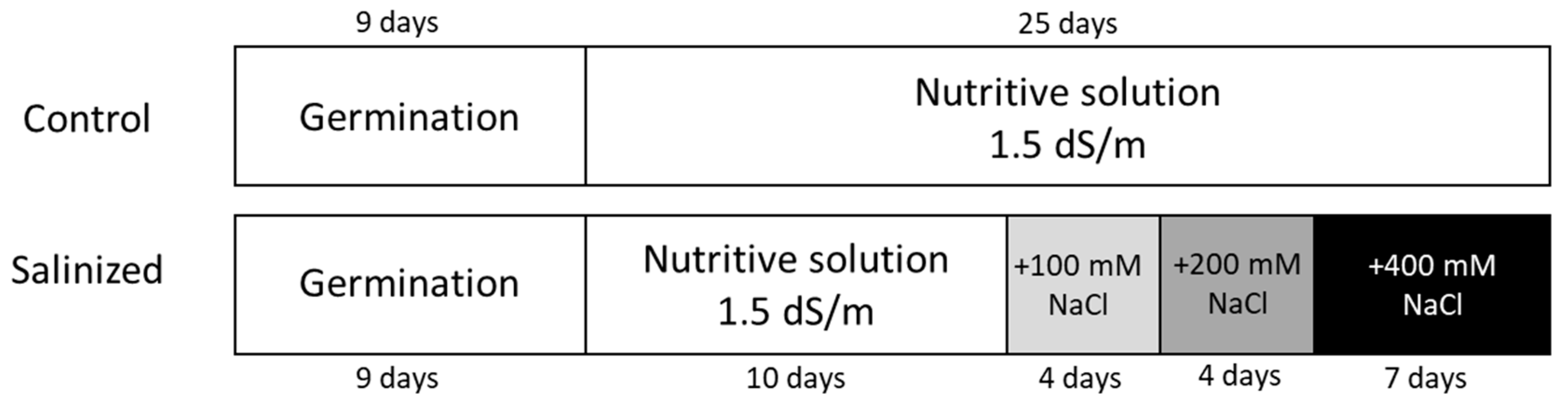 Agronomy 14 03003 g001