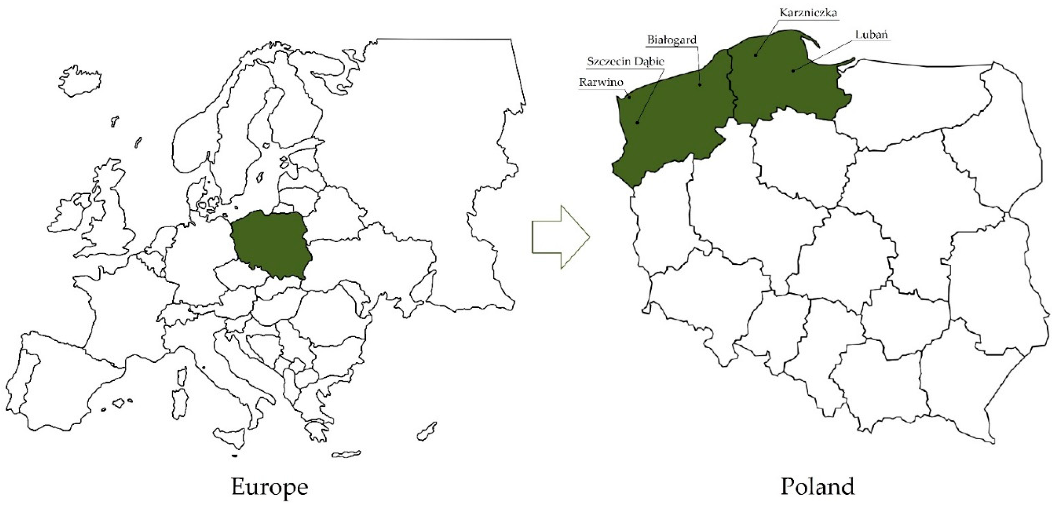 Agronomy 14 03010 g001