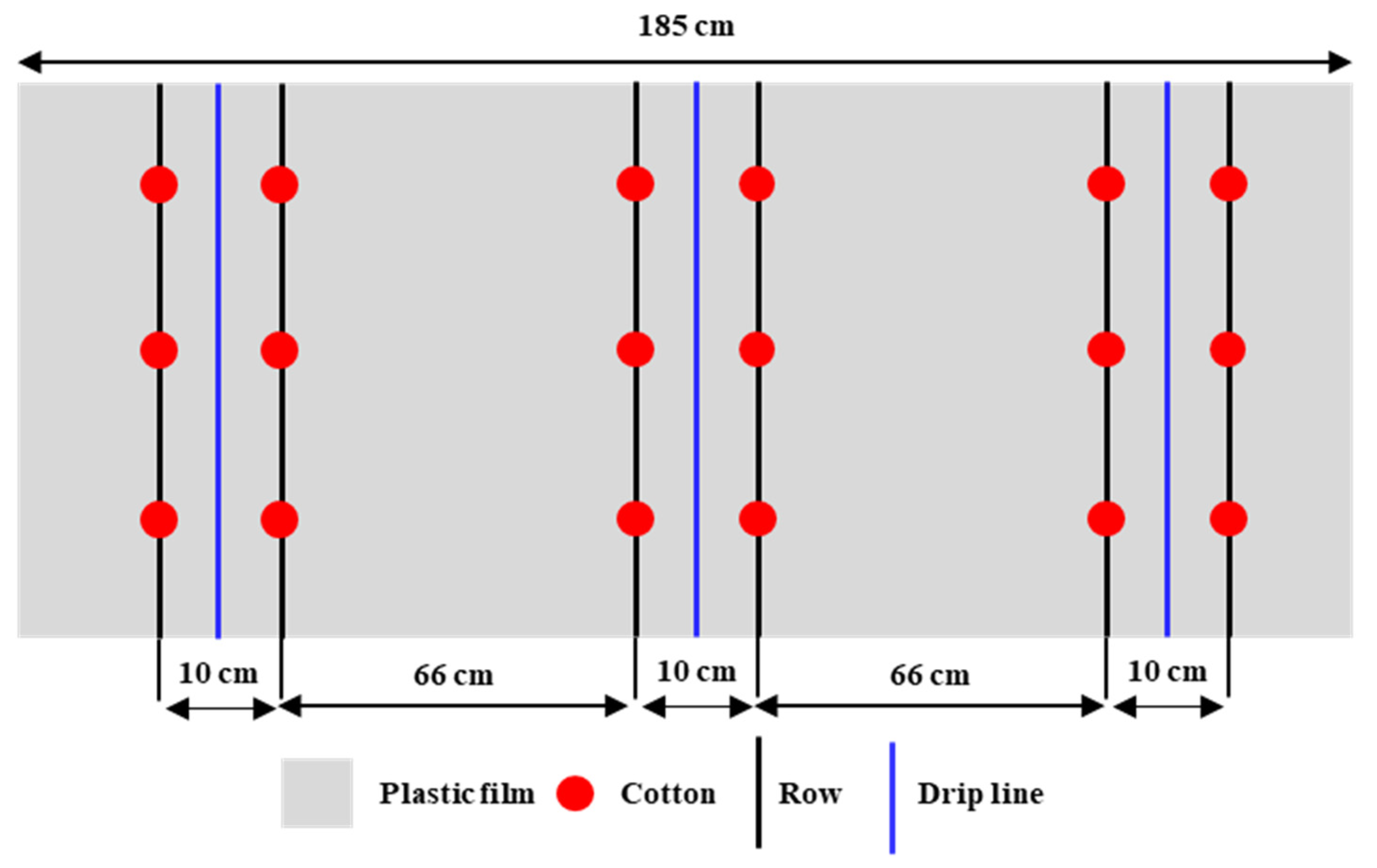Agronomy 14 03011 g002