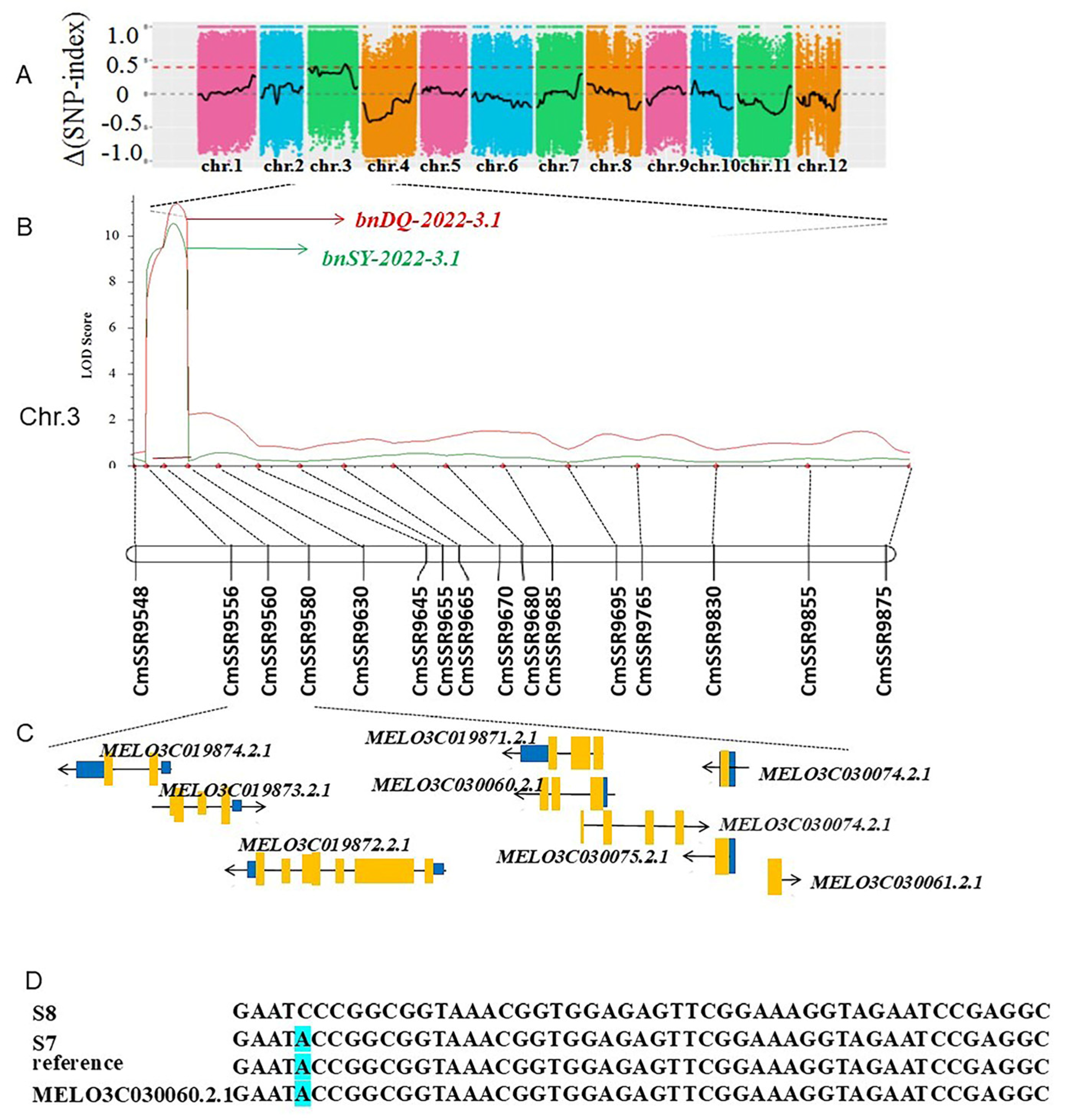 Agronomy 14 03012 g005