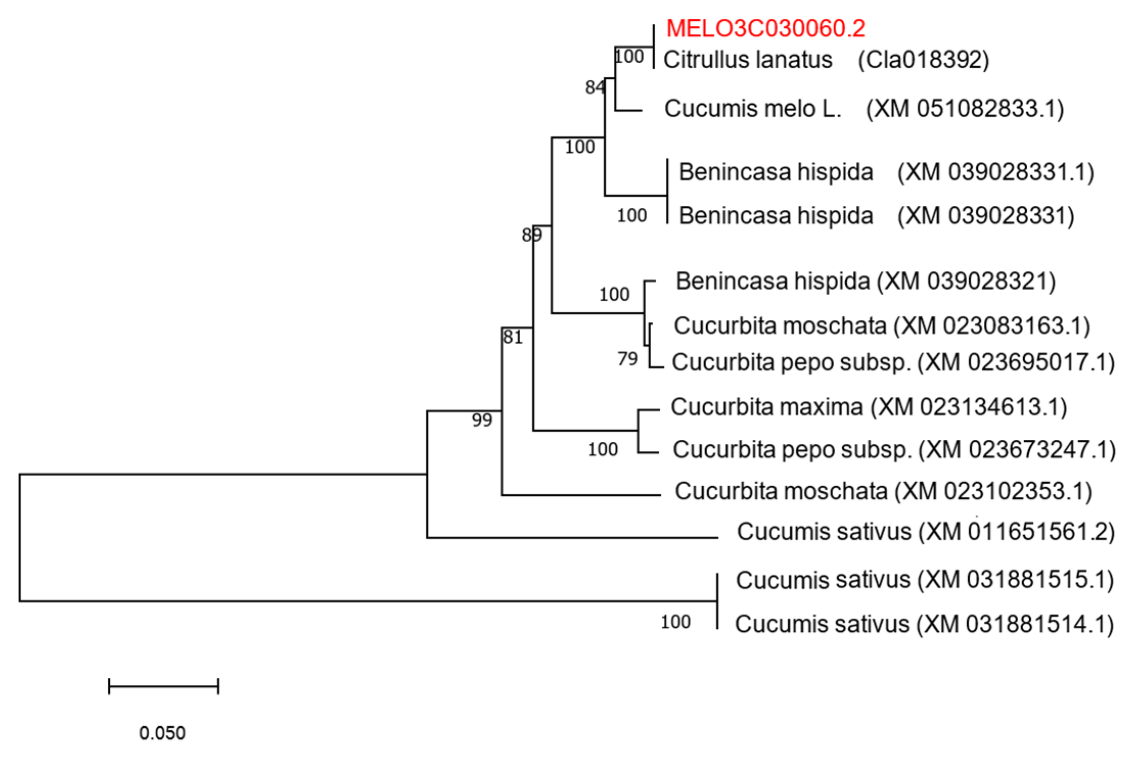 Agronomy 14 03012 g006