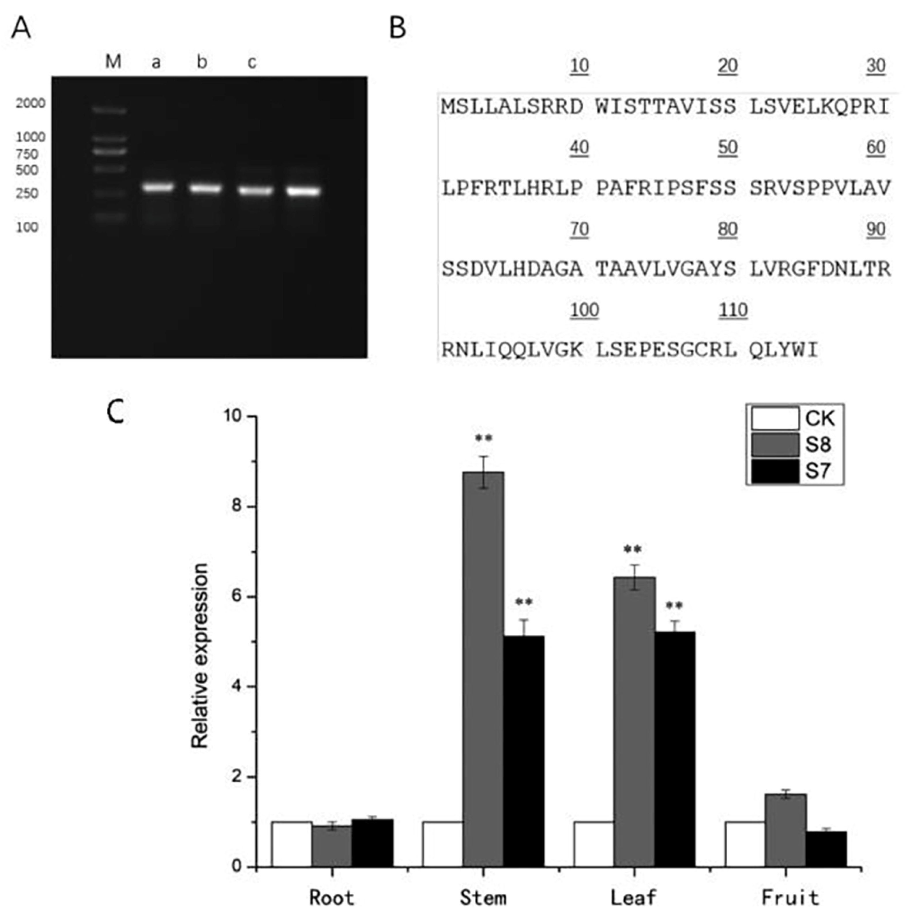 Agronomy 14 03012 g007