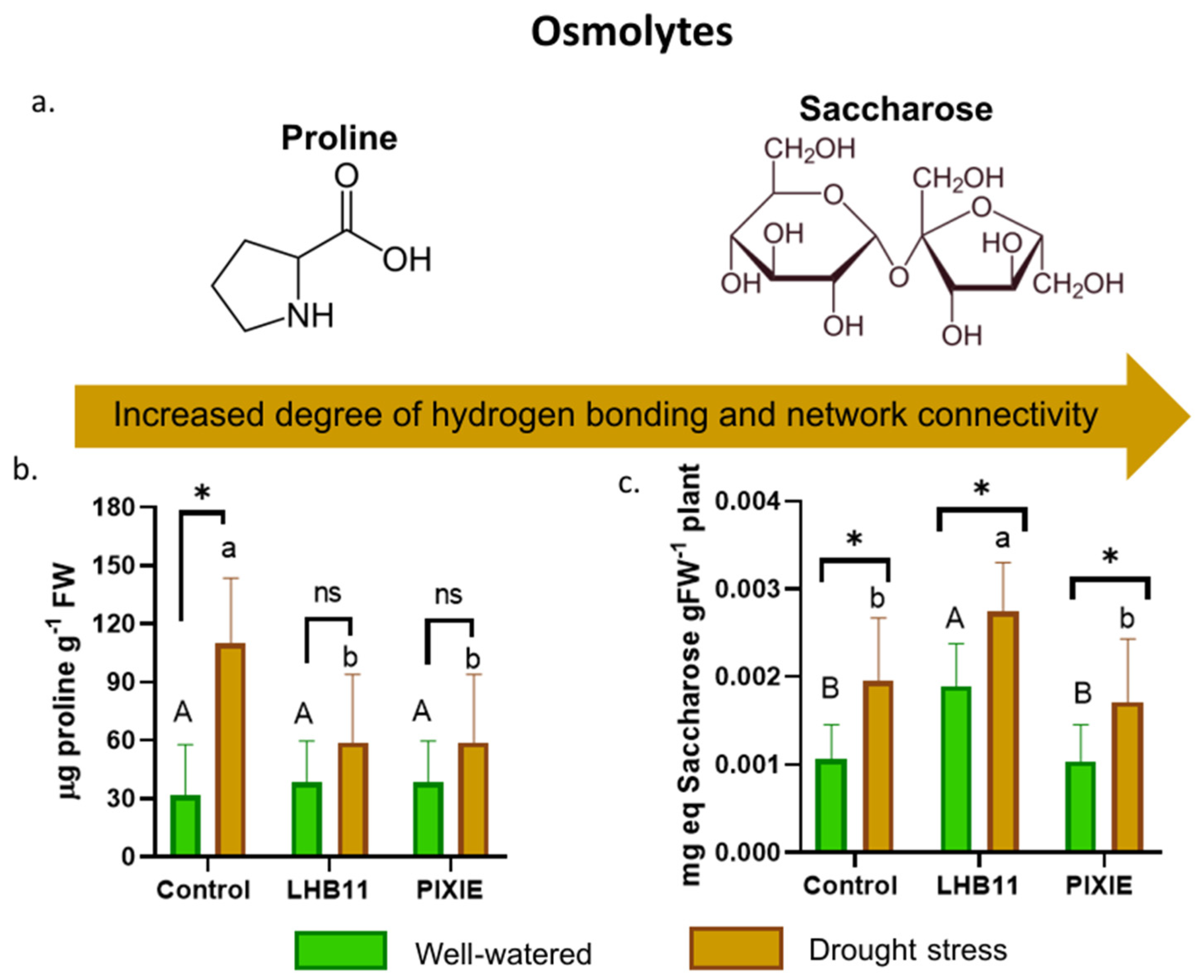 Agronomy 14 03013 g002