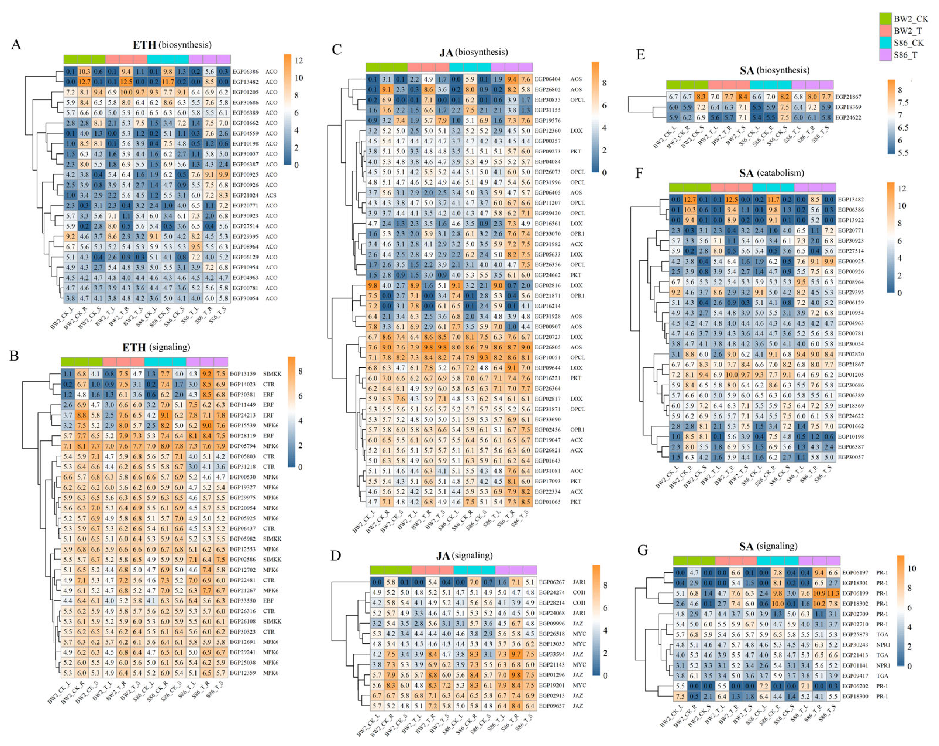 Agronomy 14 03016 g003
