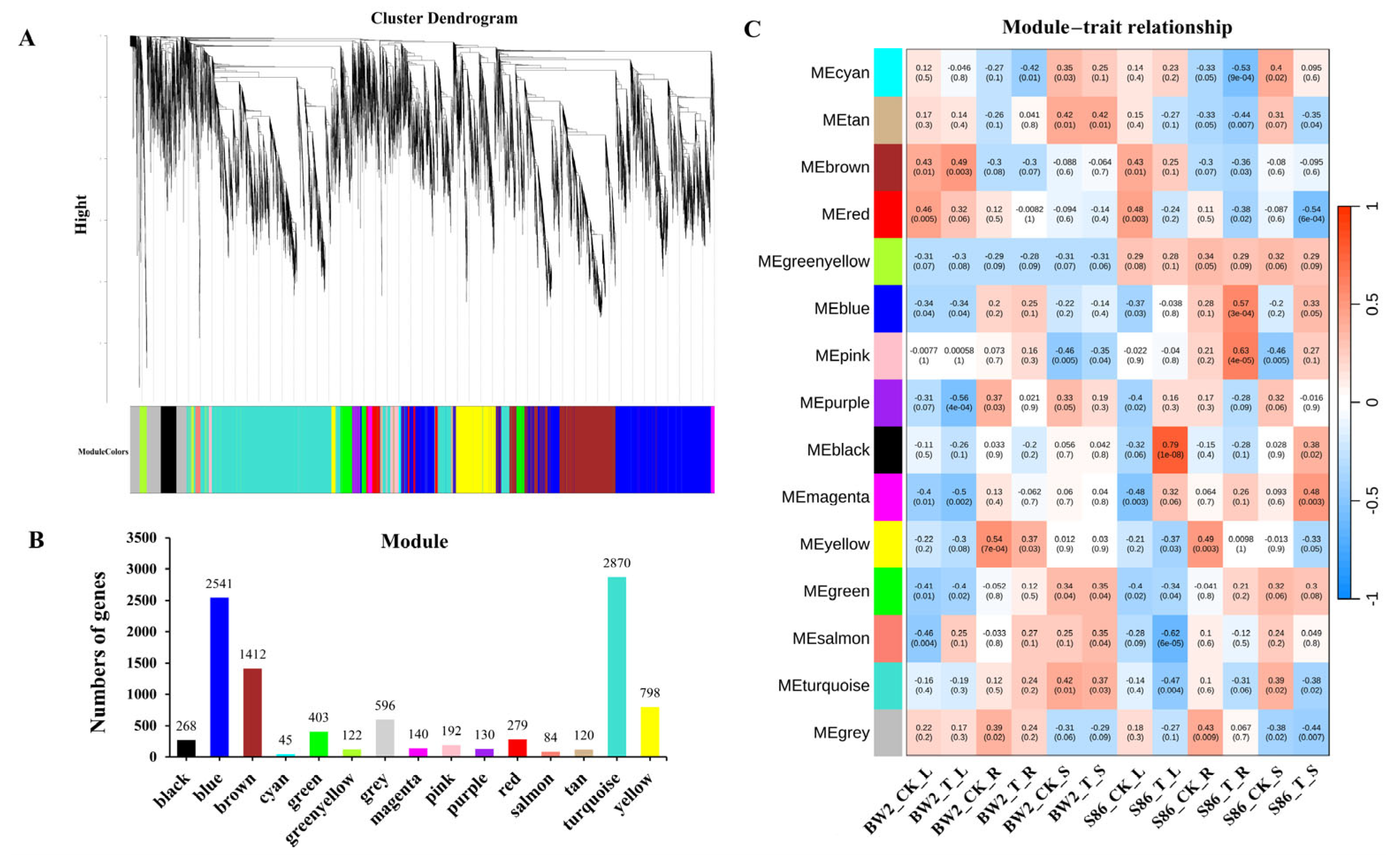 Agronomy 14 03016 g004