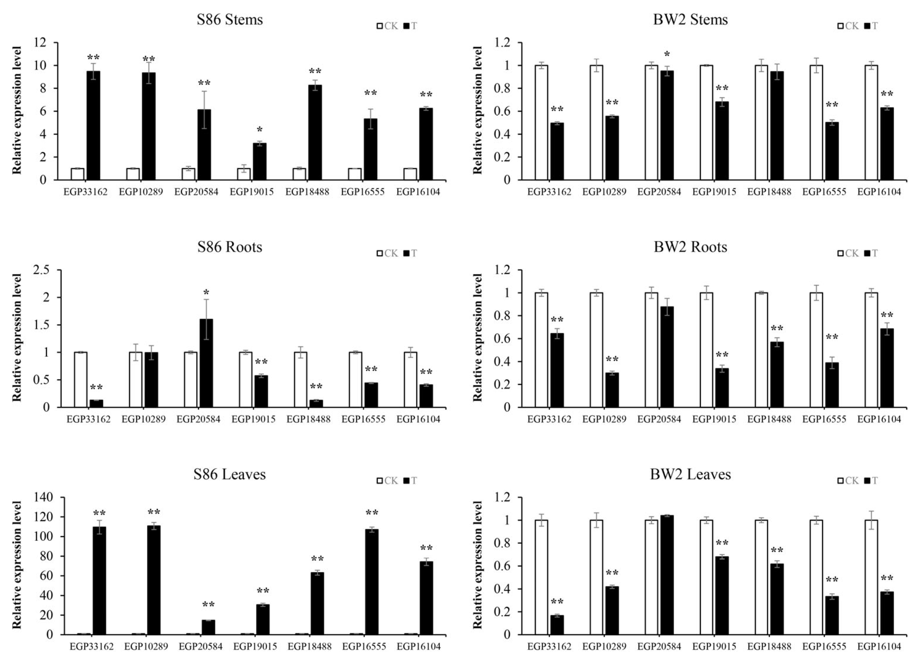 Agronomy 14 03016 g006