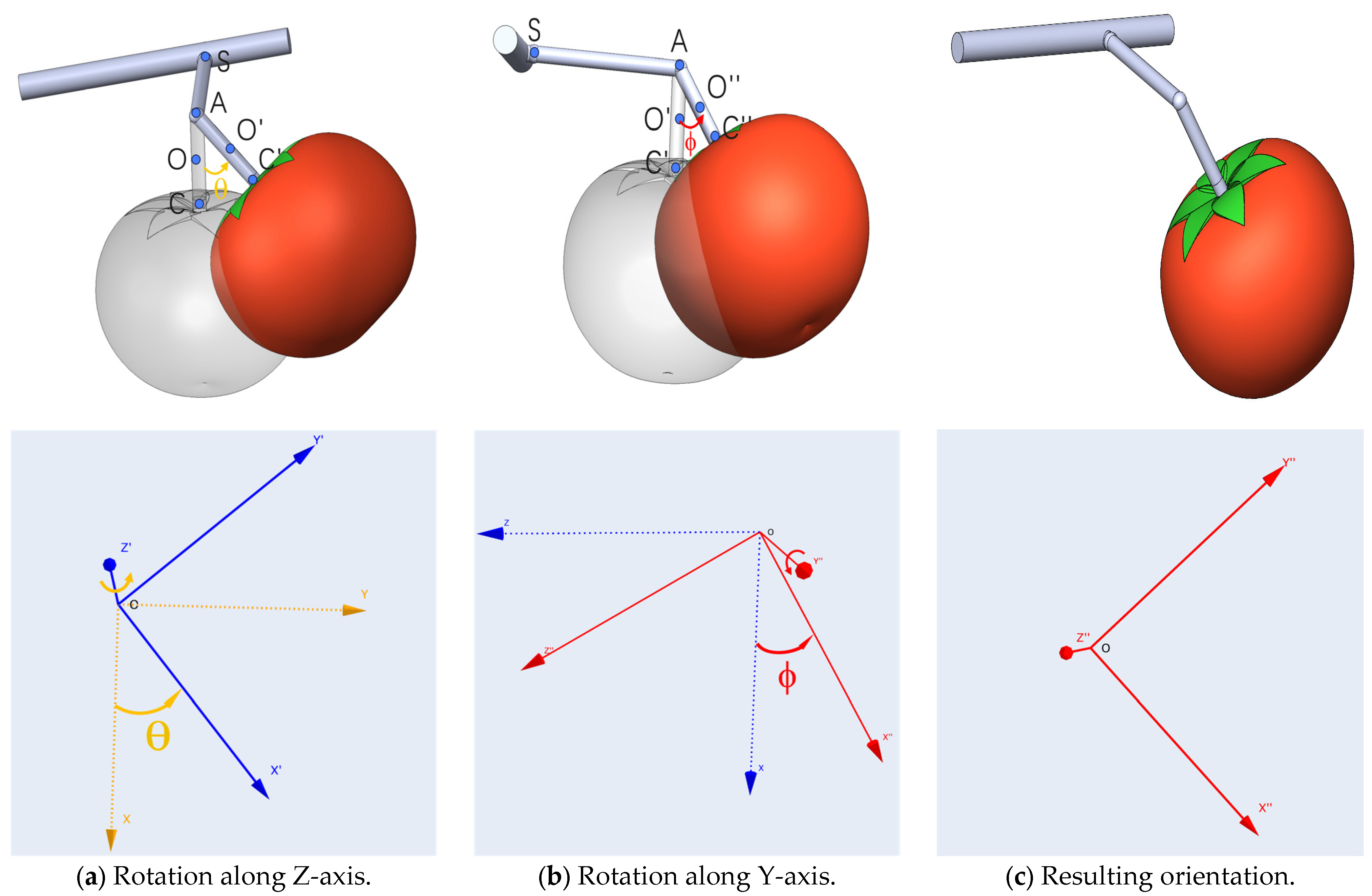 Agronomy 14 03027 g007
