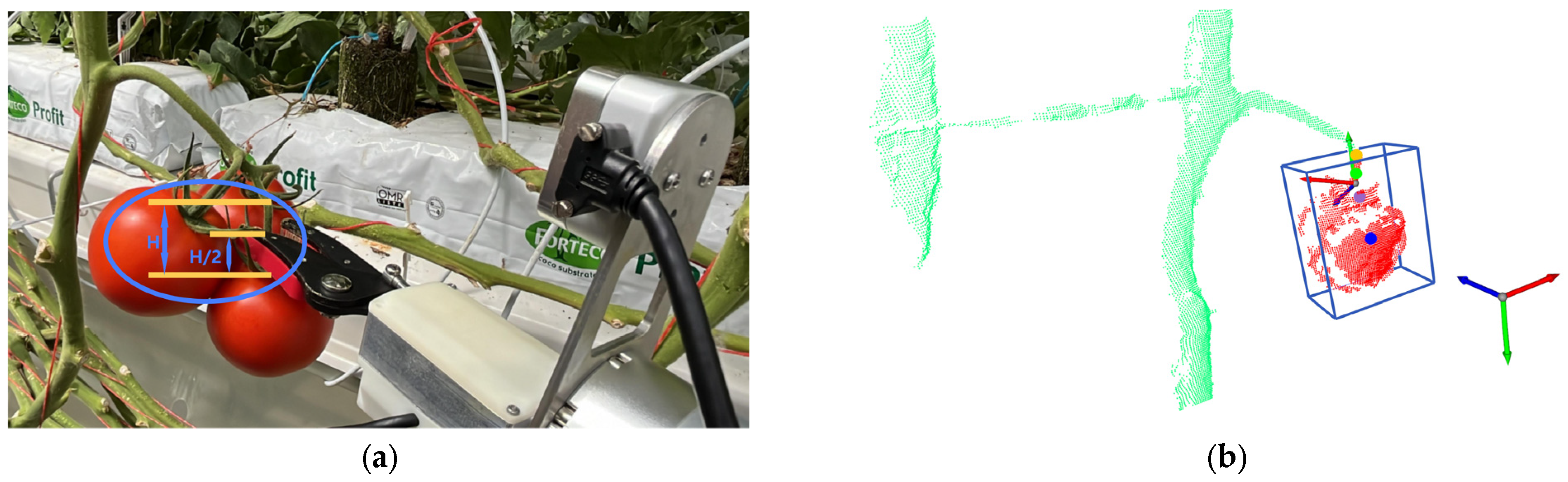 Agronomy 14 03027 g008