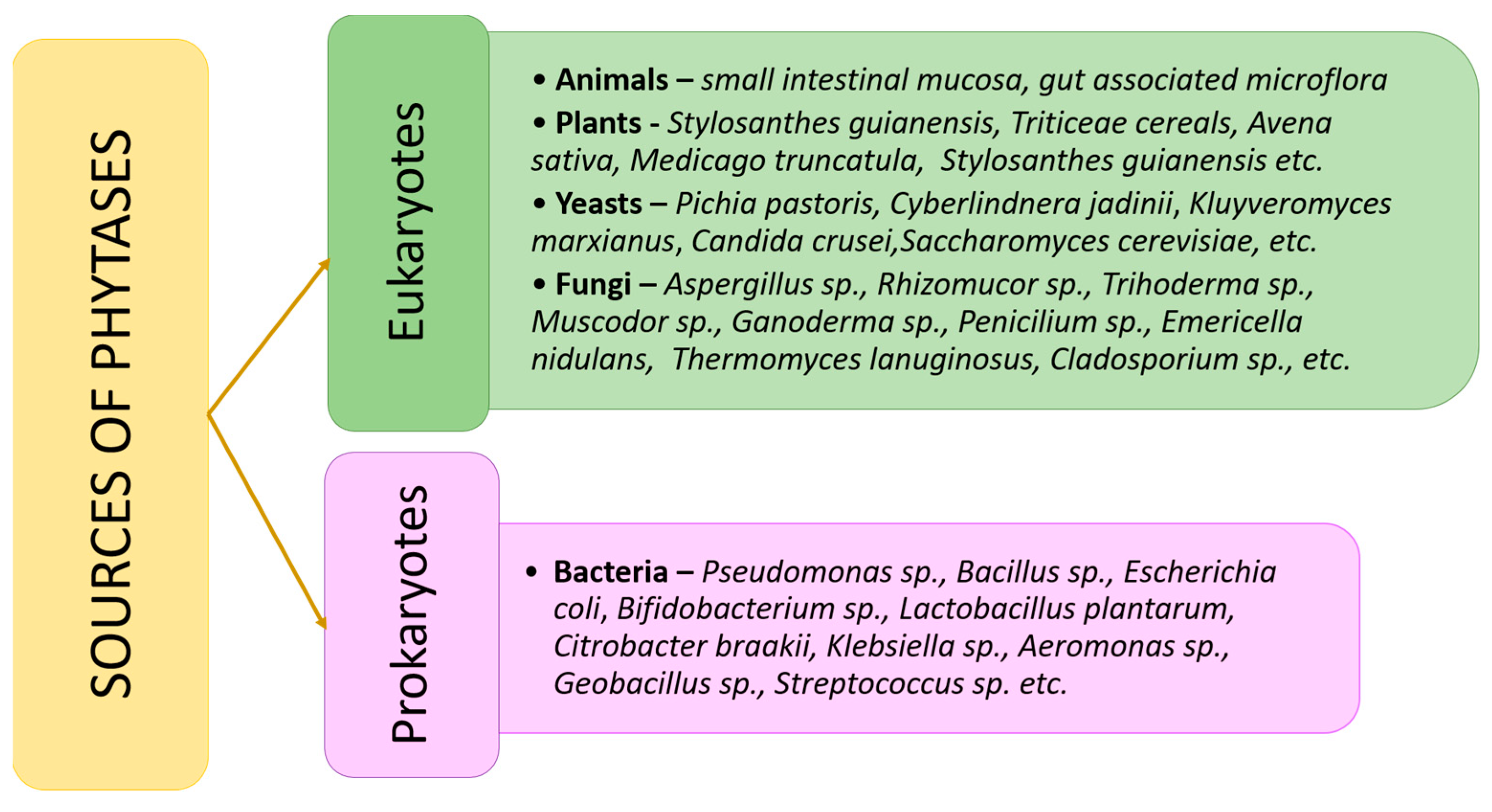 Agronomy 14 03029 g001 Agronomy 14 03029 g001