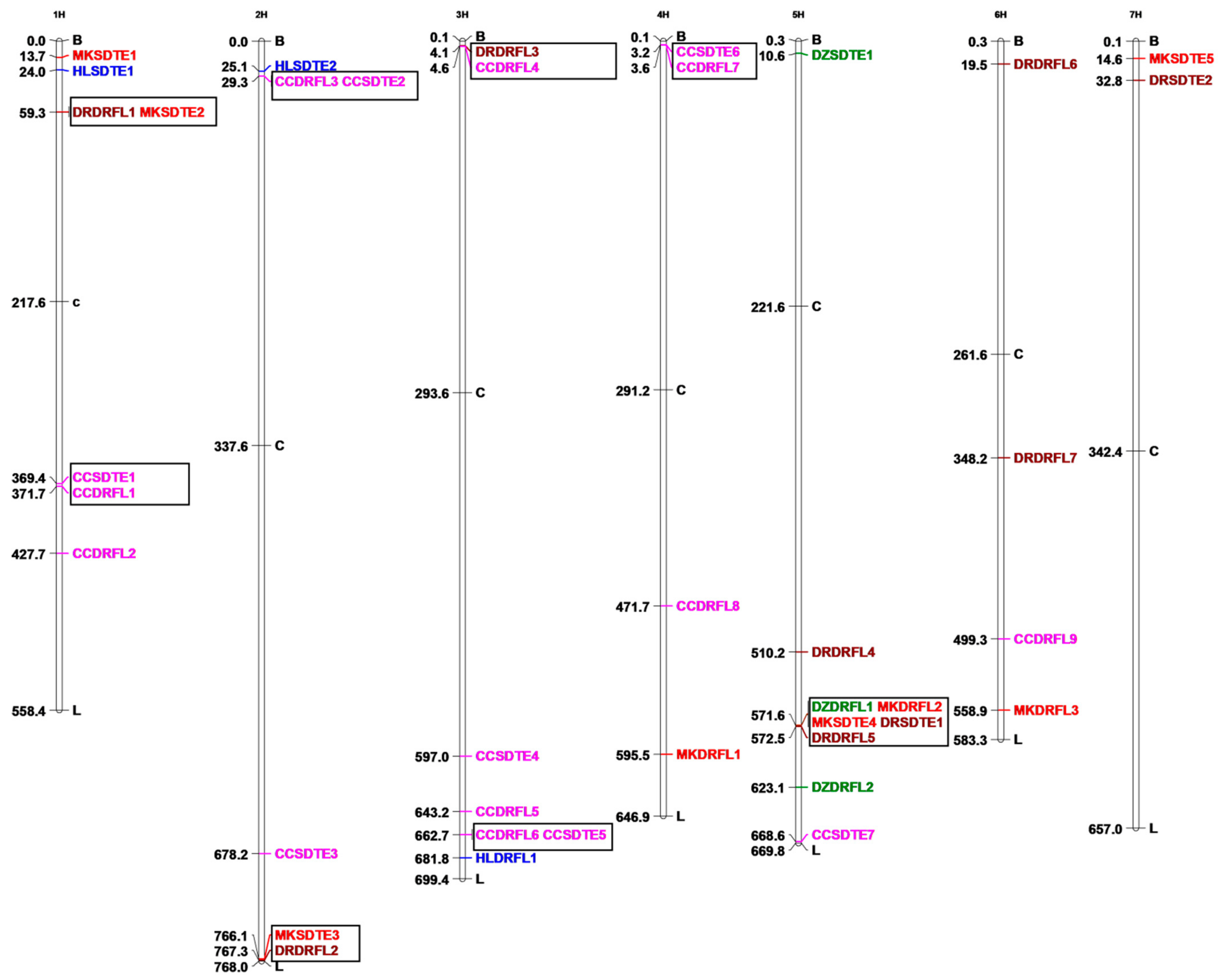Agronomy 14 03031 g004
