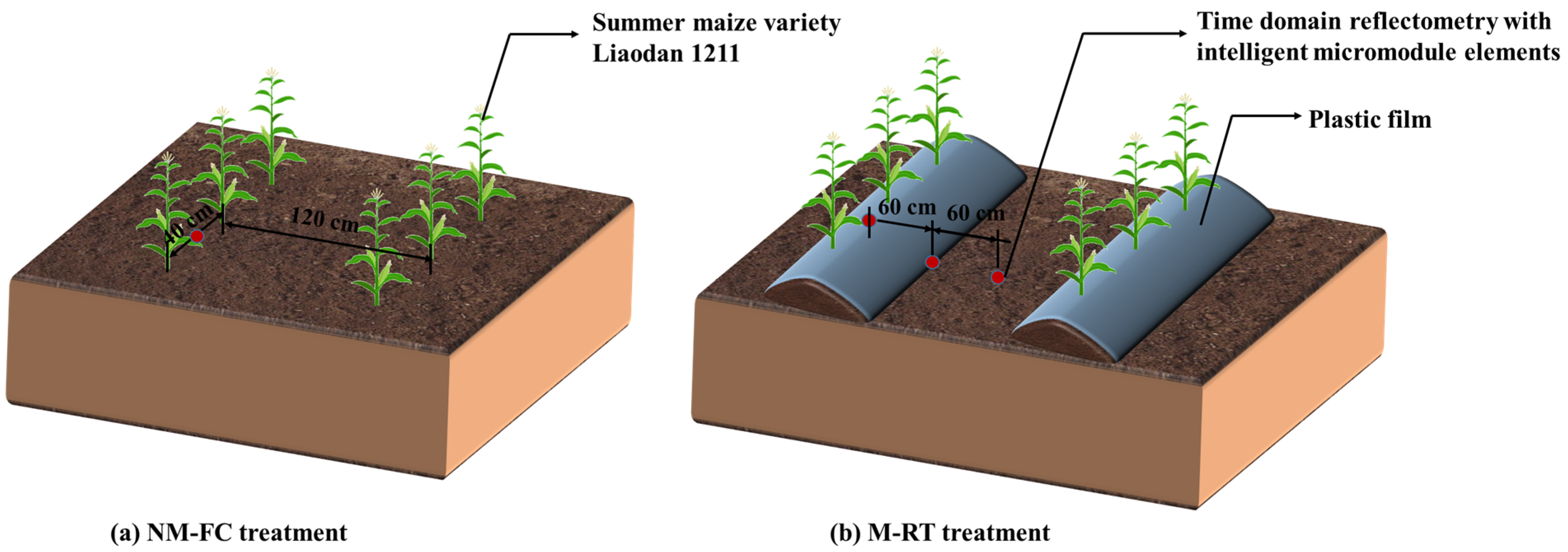 Agronomy 14 03032 g002