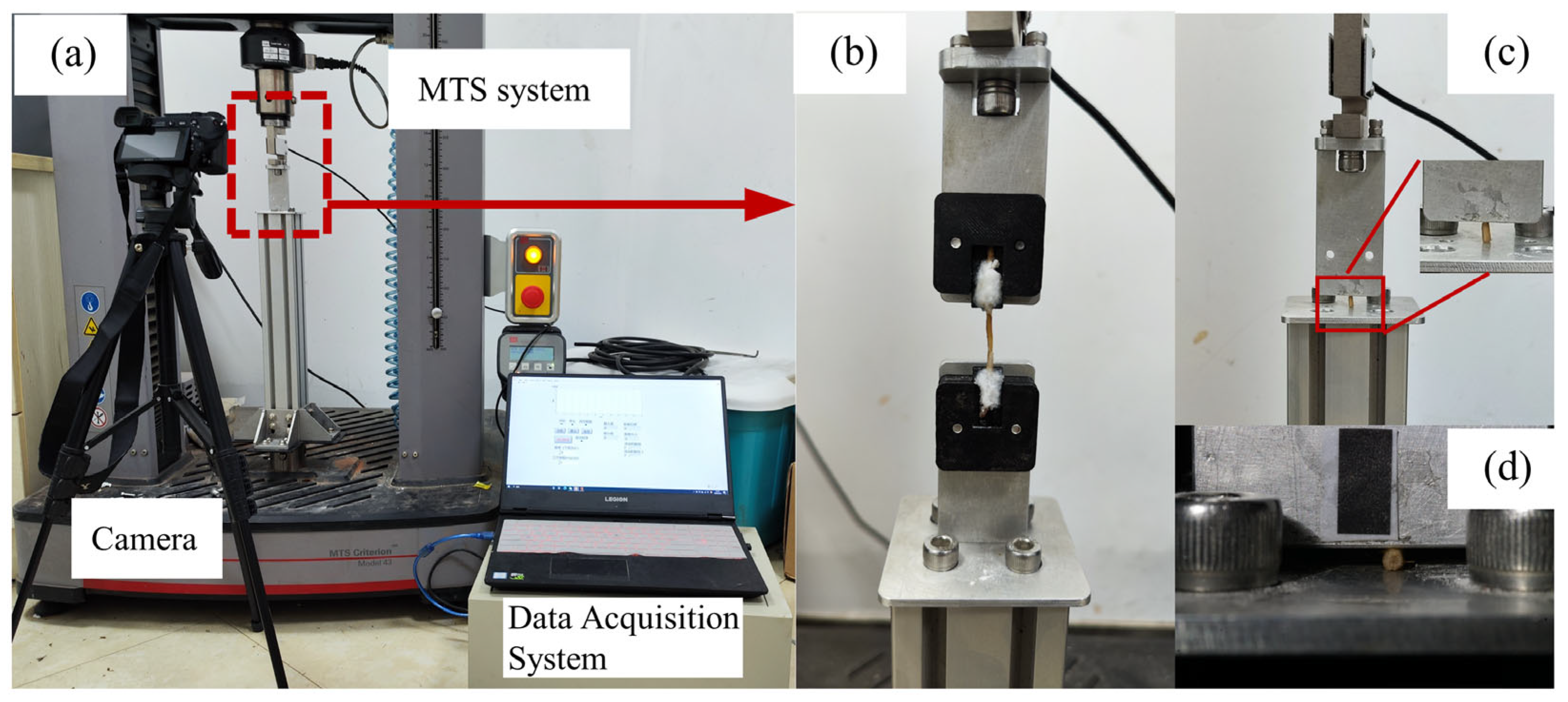 Agronomy 14 03033 g002