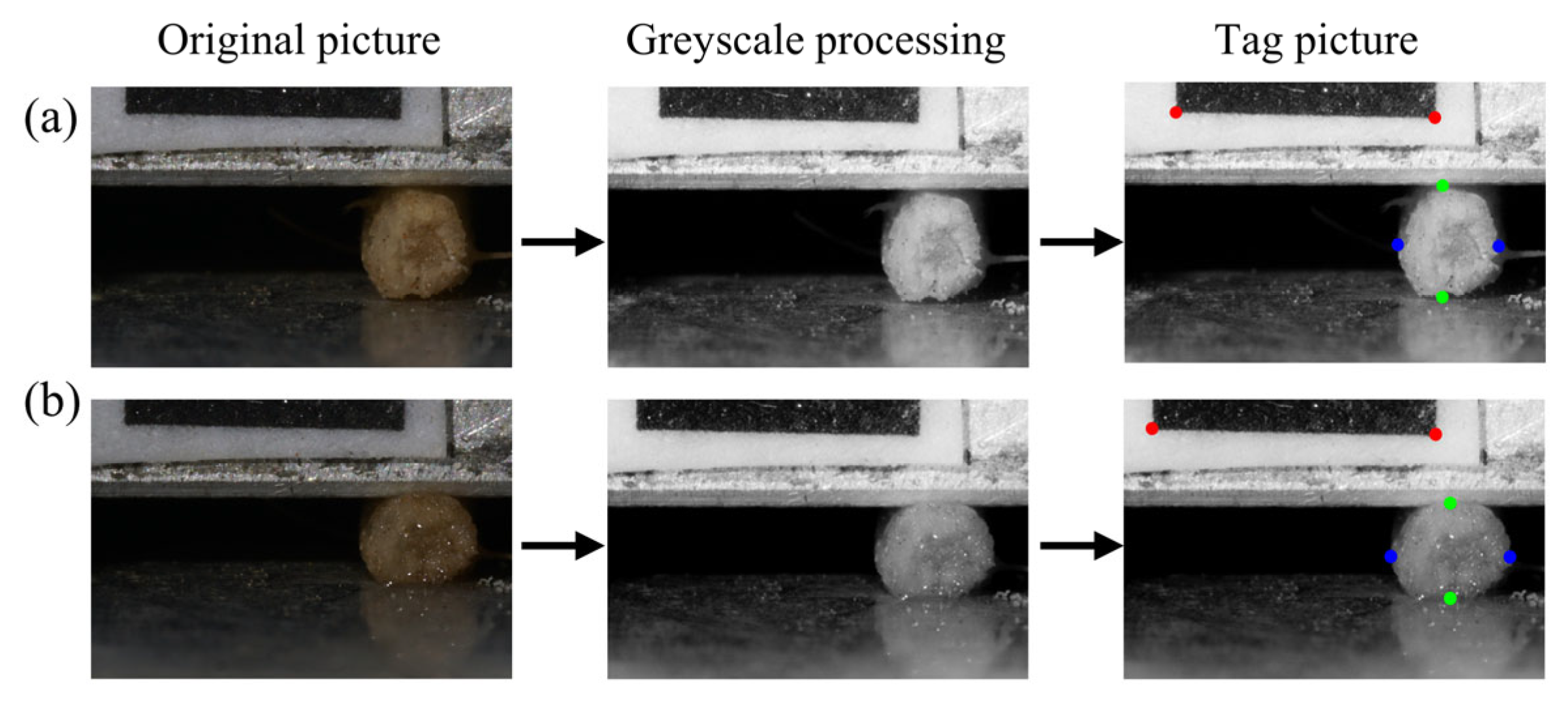 Agronomy 14 03033 g009